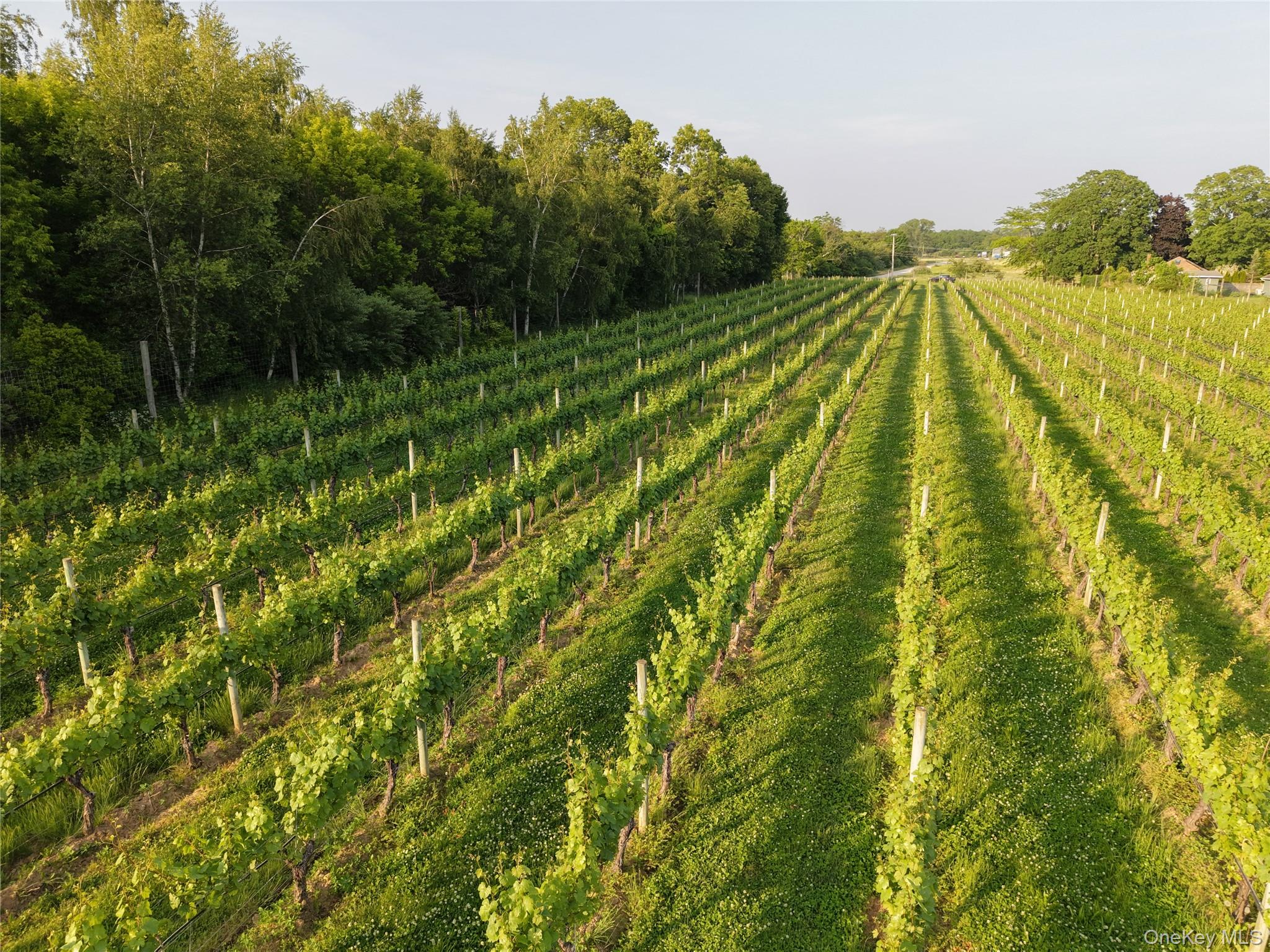 1135 Boisseau Avenue, Southold, NY 11971