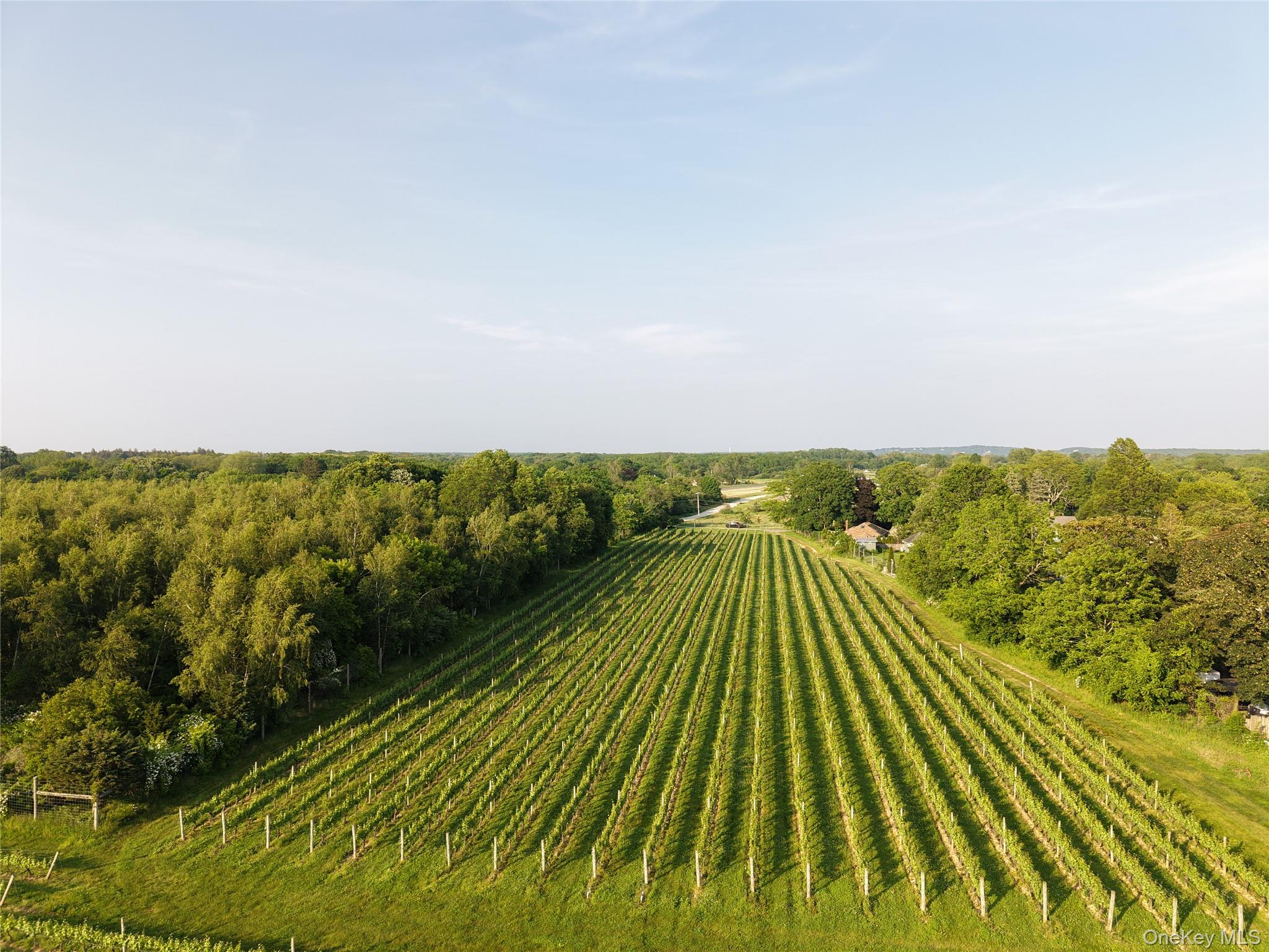 1135 Boisseau Avenue, Southold, NY 11971