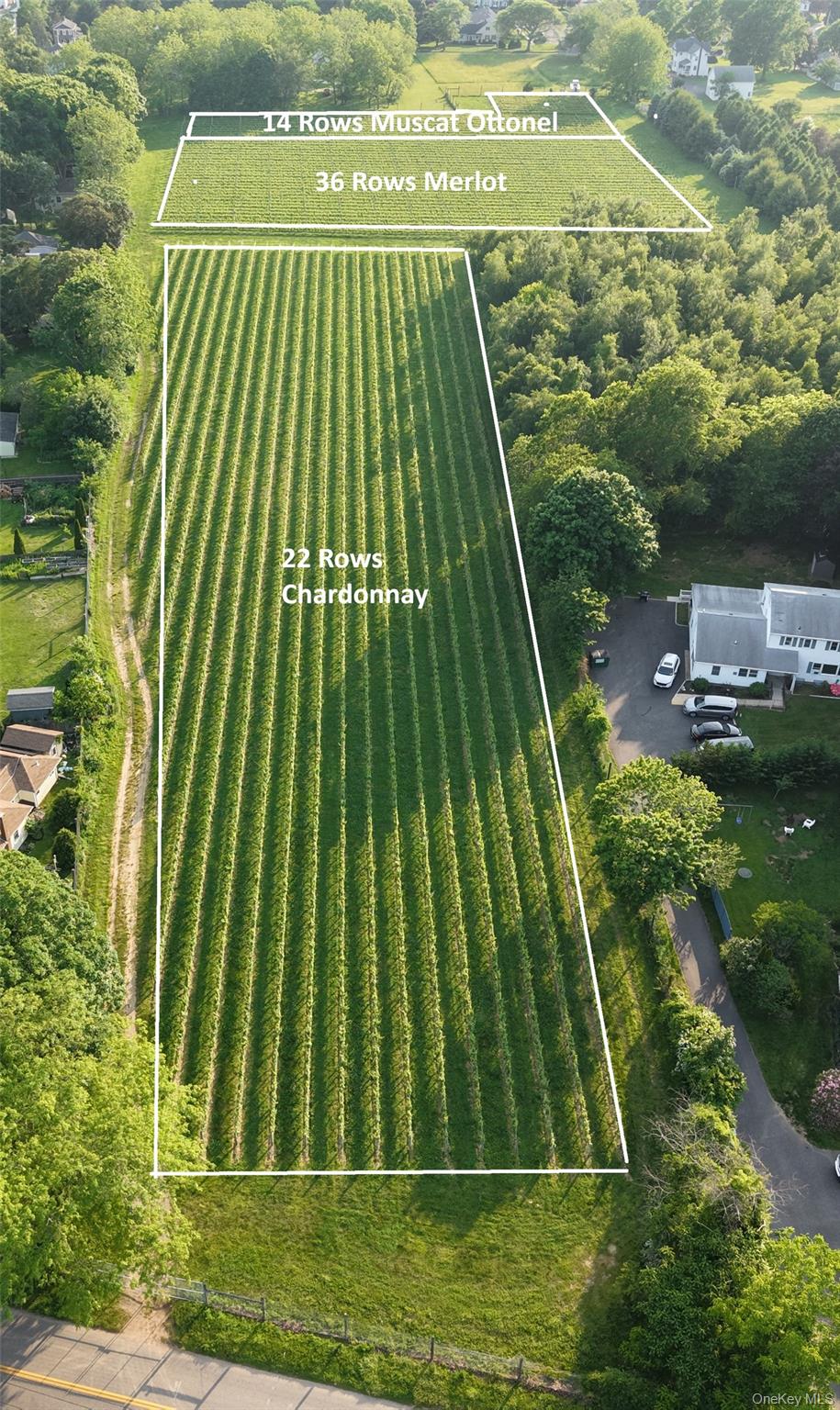 1135 Boisseau Avenue, Southold, NY 11971