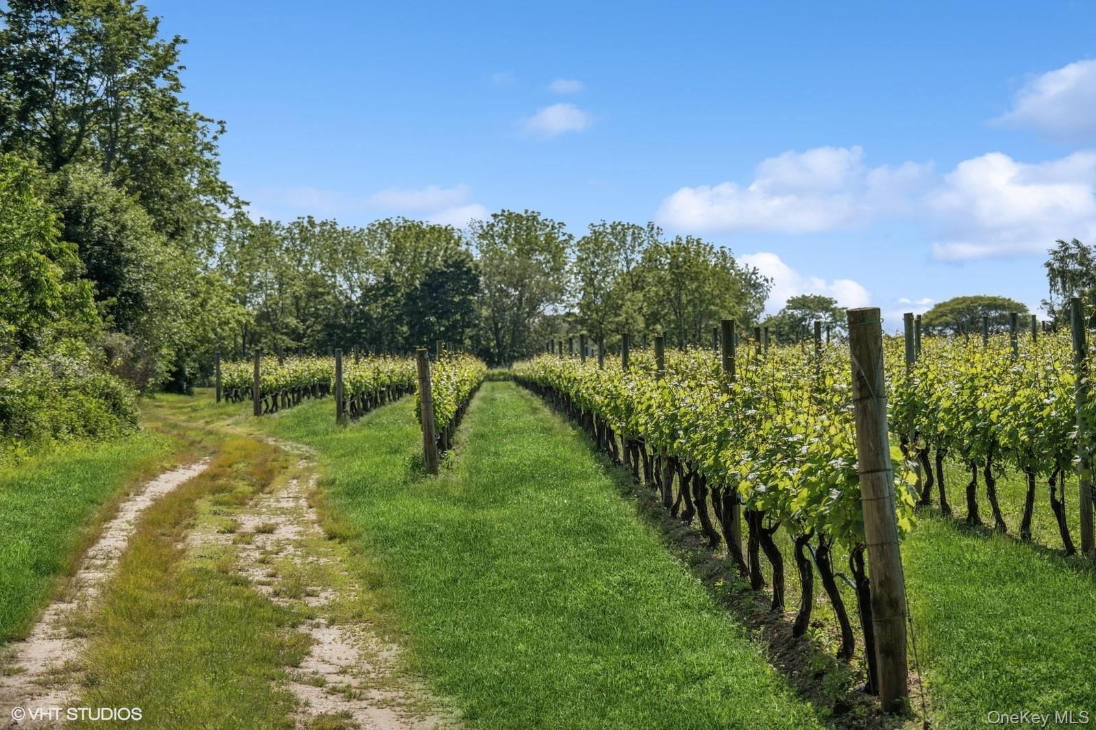 1135 Boisseau Avenue, Southold, NY 11971