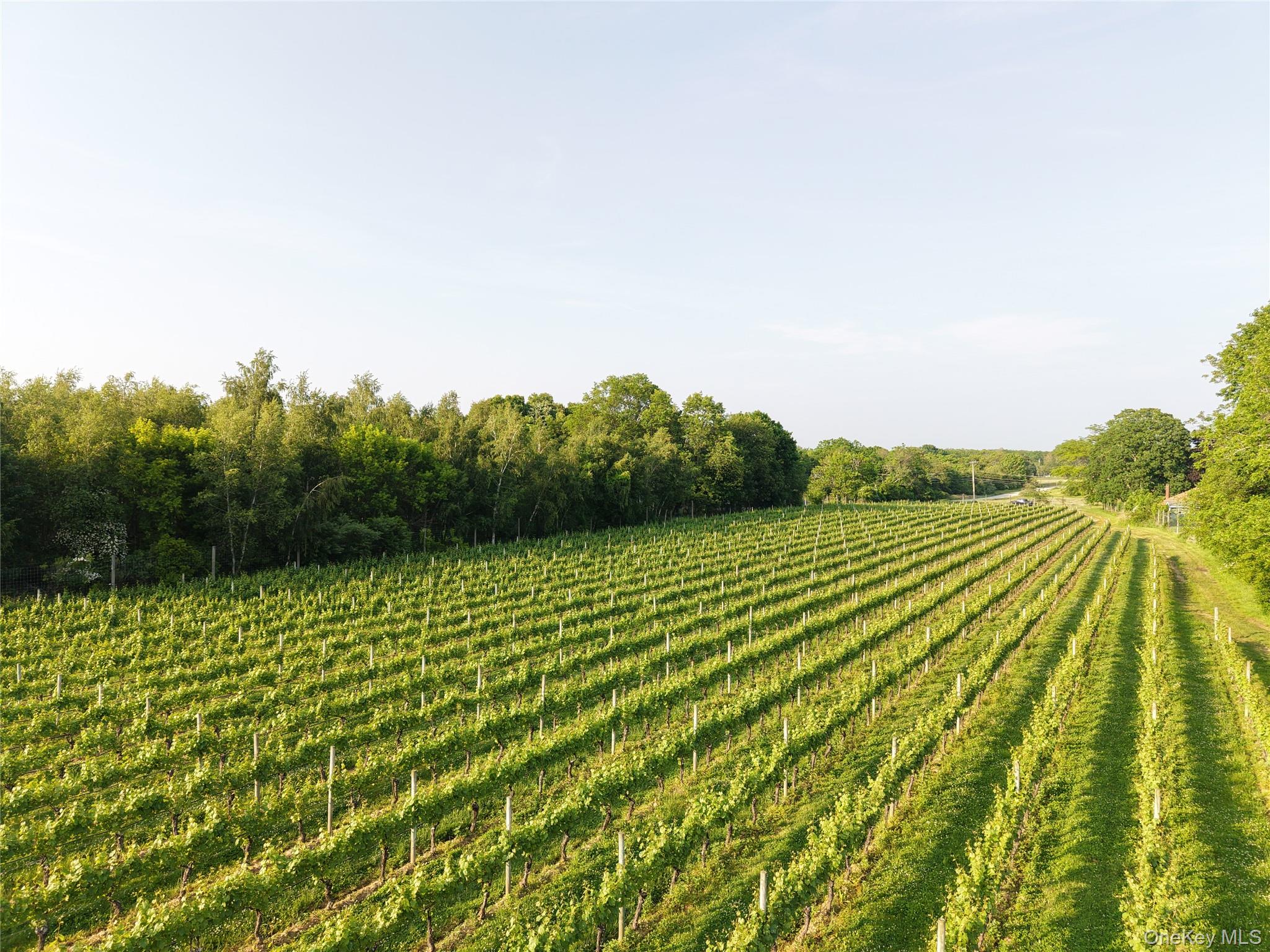 1135 Boisseau Avenue, Southold, NY 11971