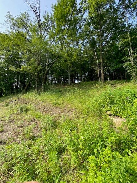 156 Schefflers Road, Westtown, NY 10998