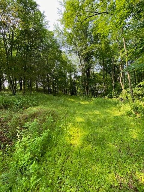 156 Schefflers Road, Westtown, NY 10998