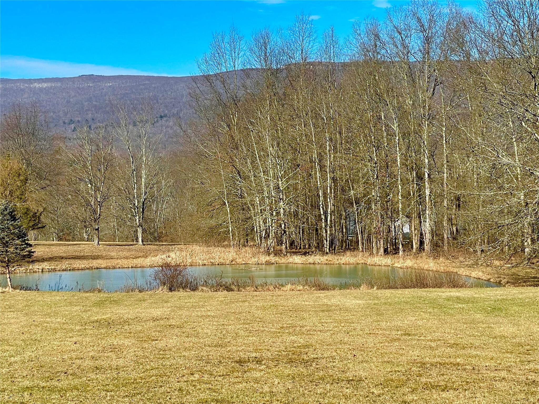 71 Saddleback Ridge Road, Wallkill, NY 12589