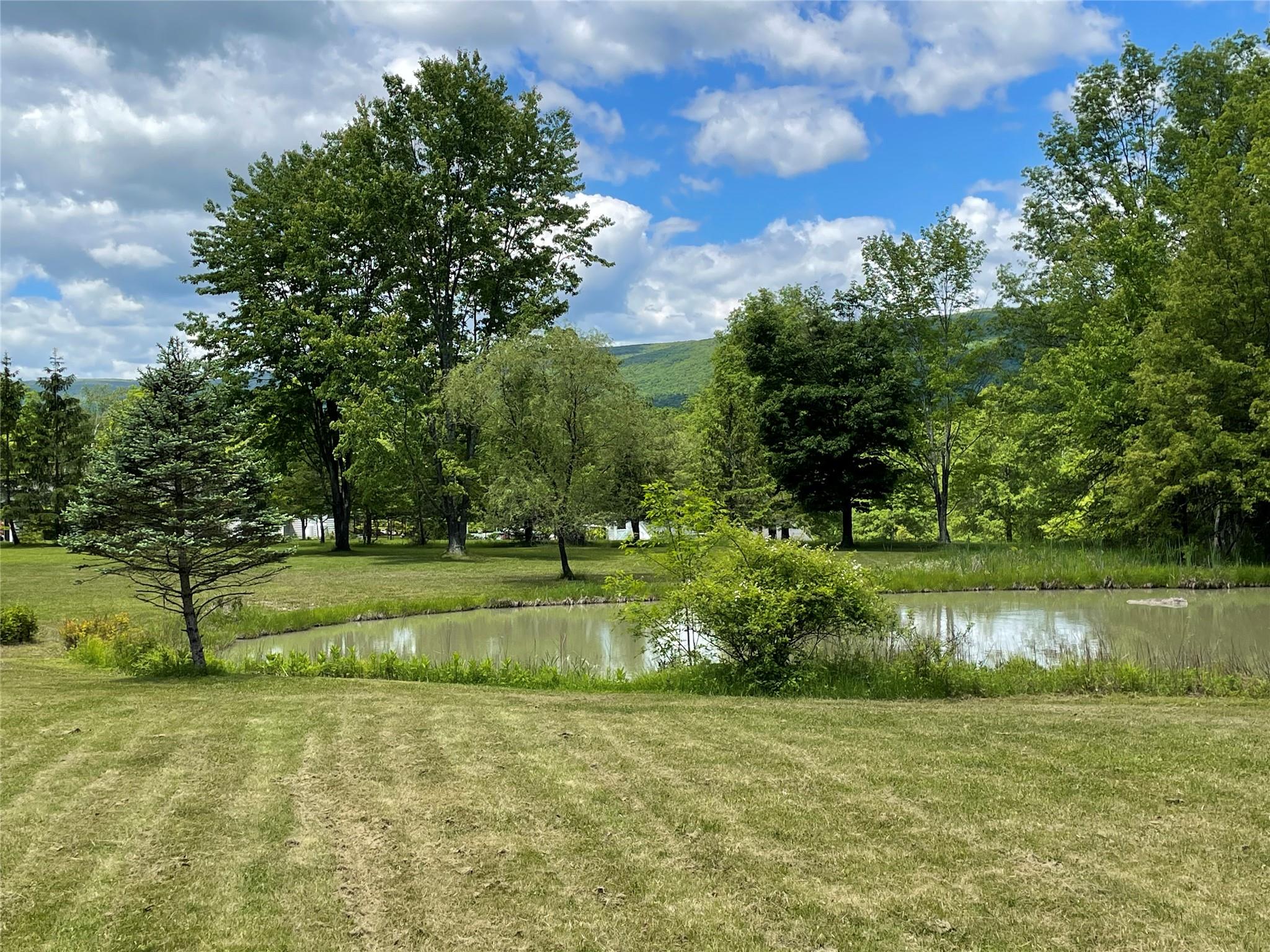 71 Saddleback Ridge Road, Wallkill, NY 12589