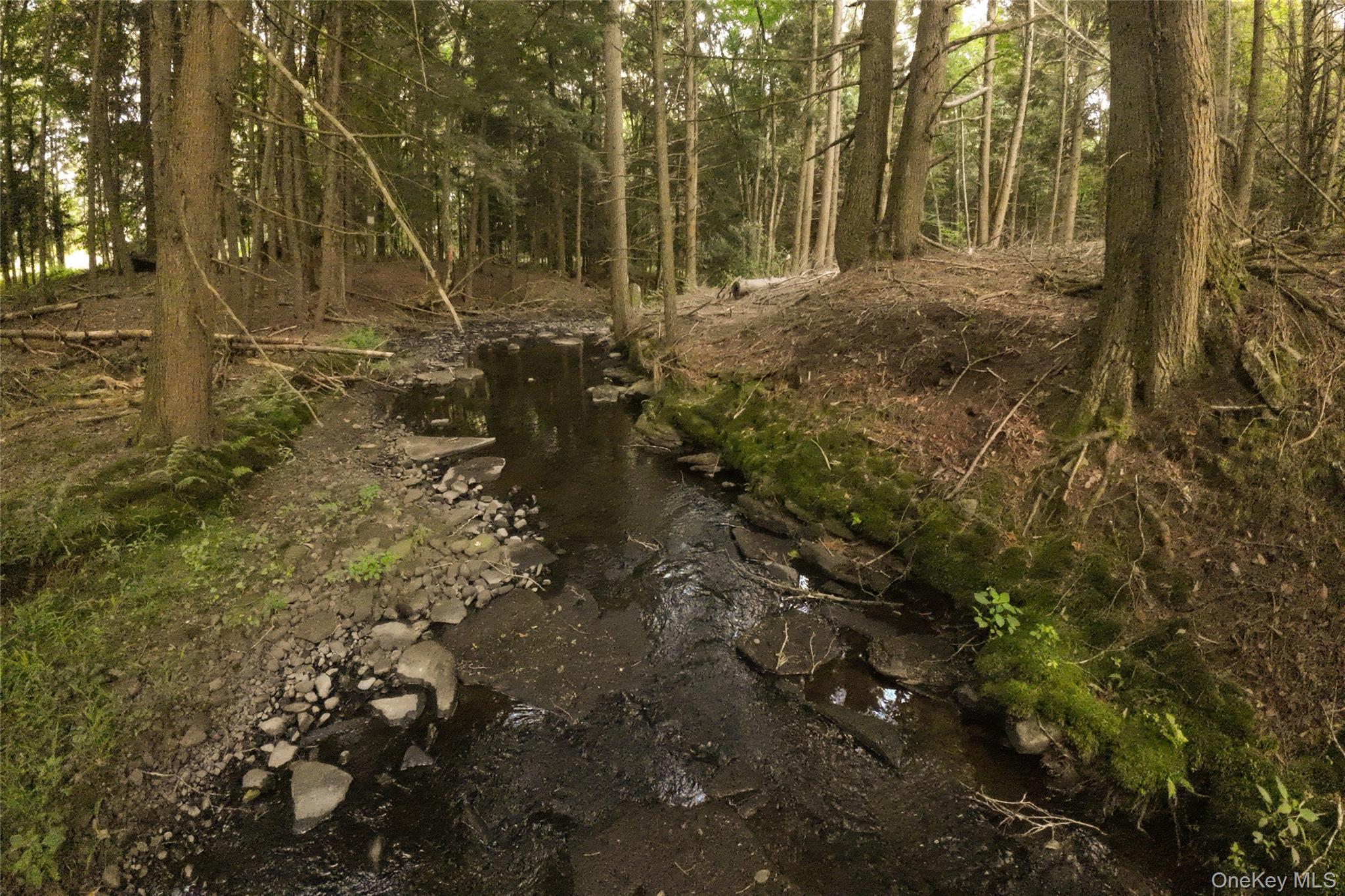 49 Crumley Van Vactor Road, Ferndale, NY 12734