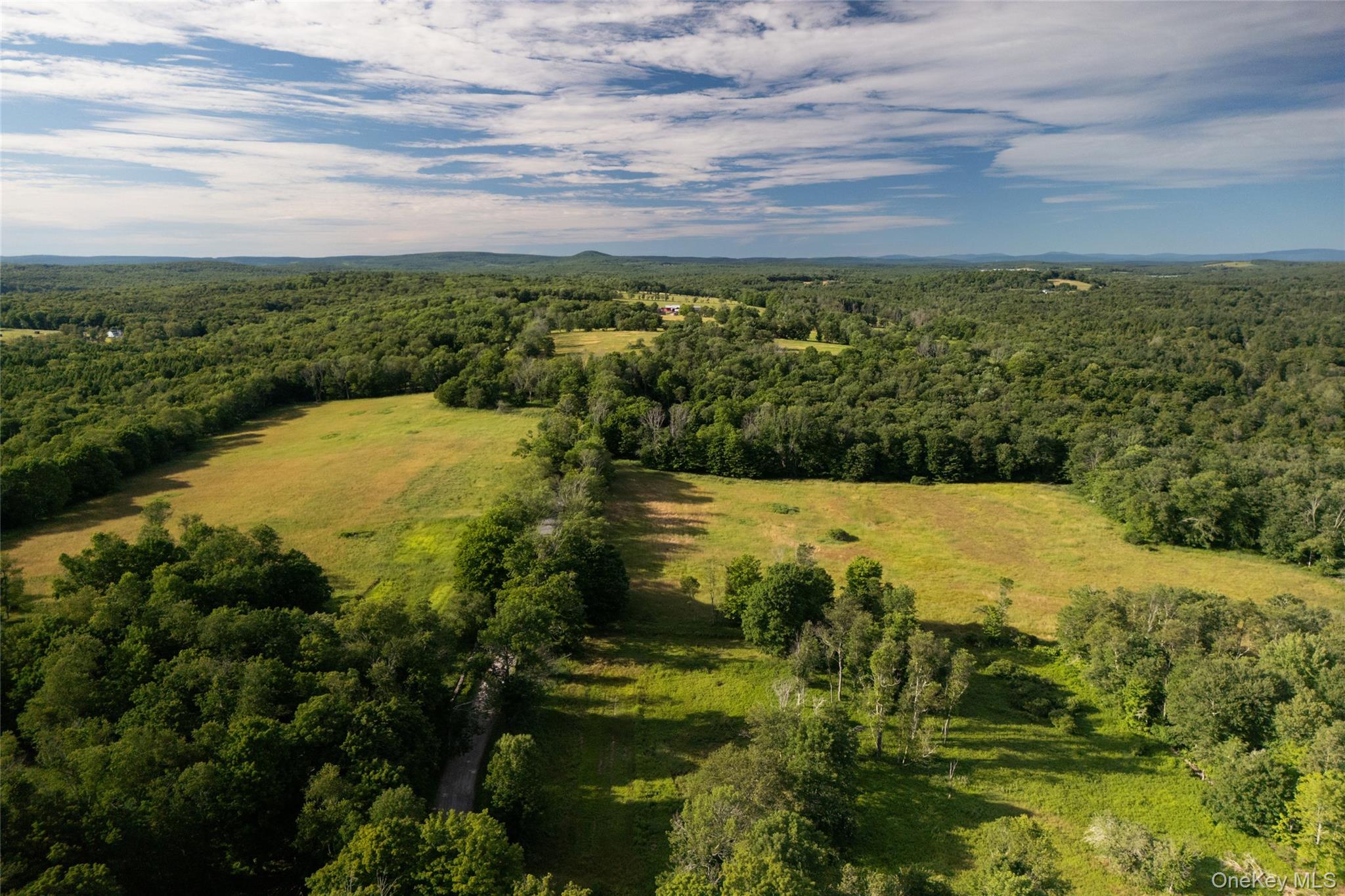 49 Crumley Van Vactor Road, Ferndale, NY 12734