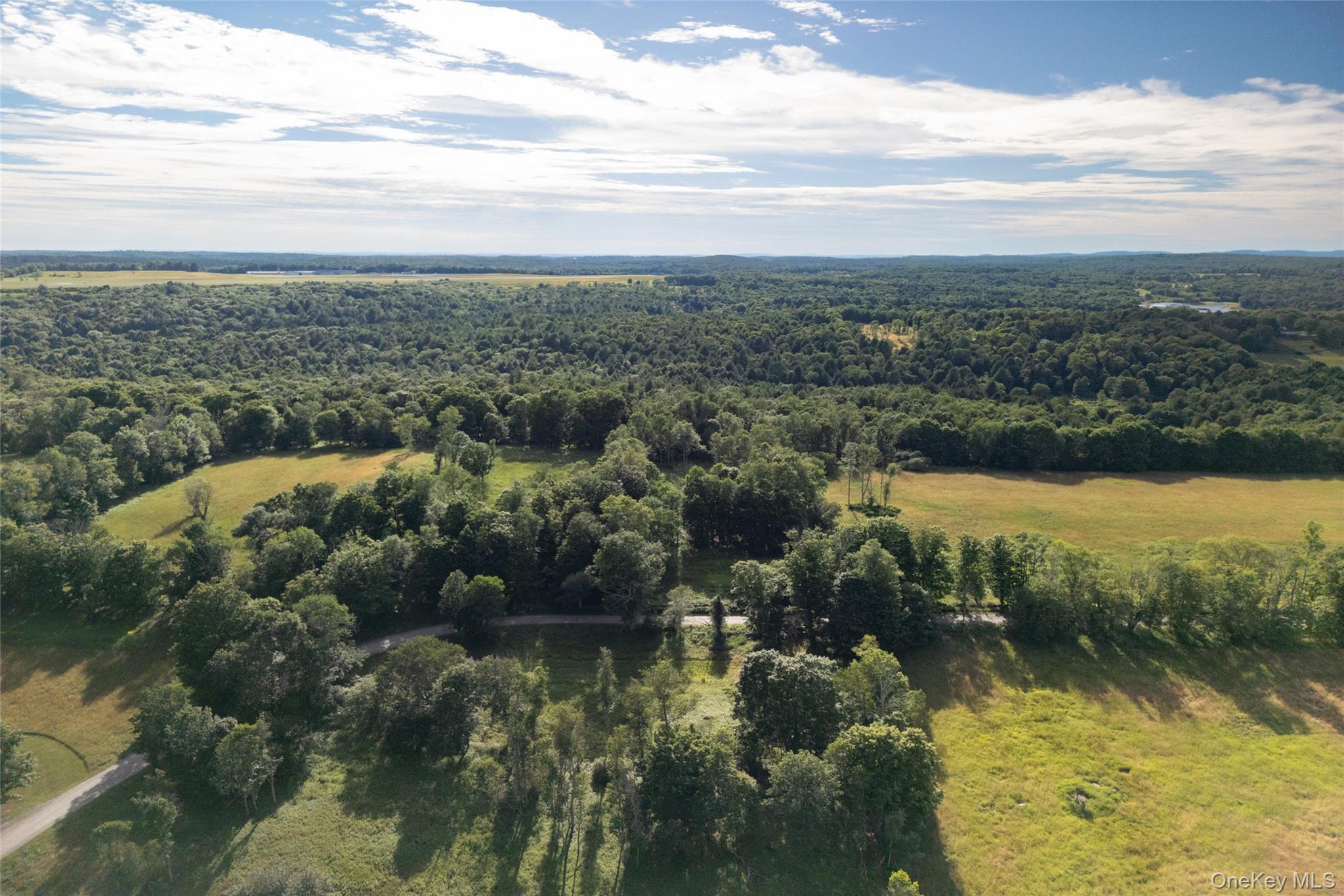 49 Crumley Van Vactor Road, Ferndale, NY 12734