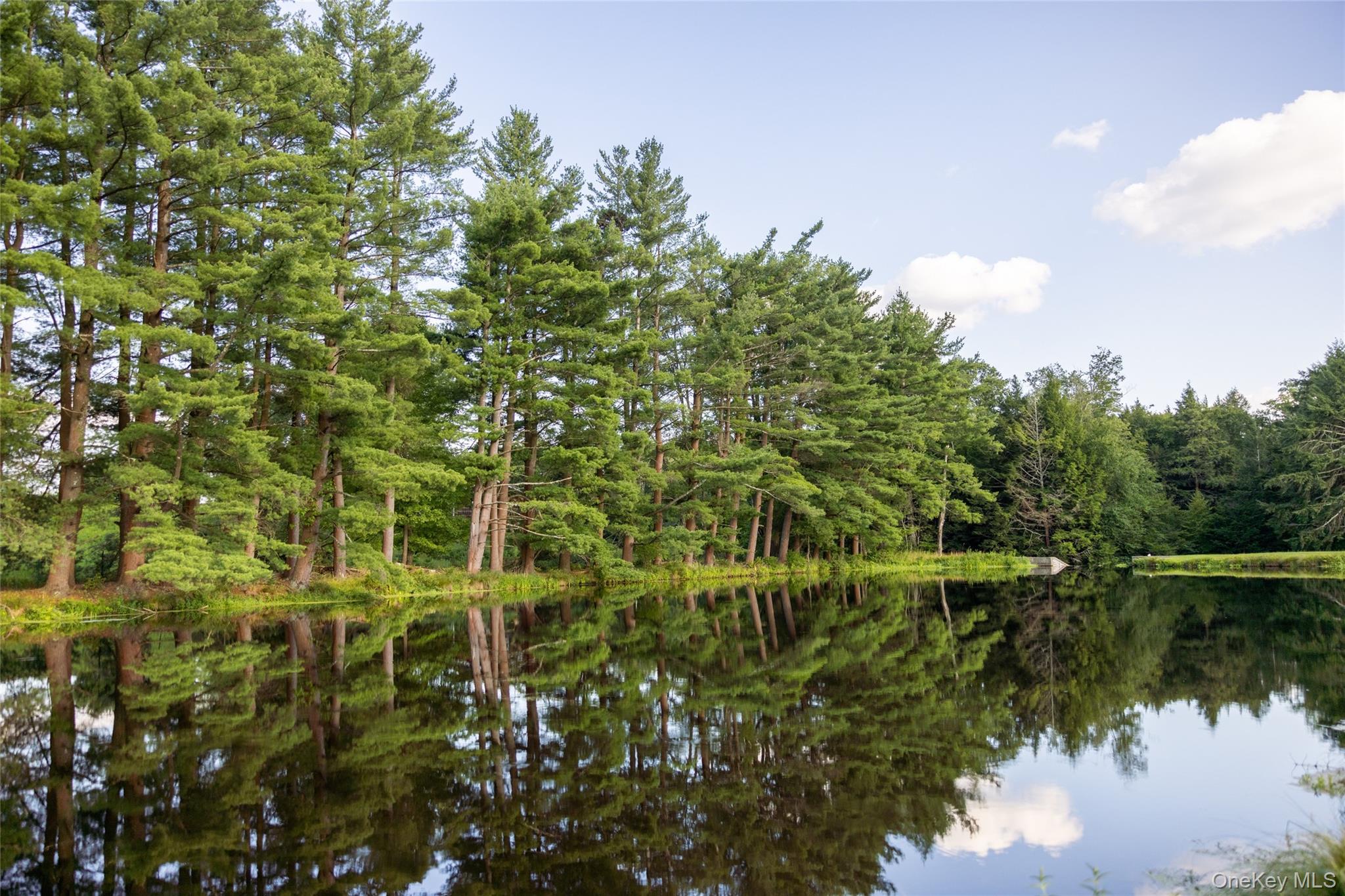 49 Crumley Van Vactor Road, Ferndale, NY 12734