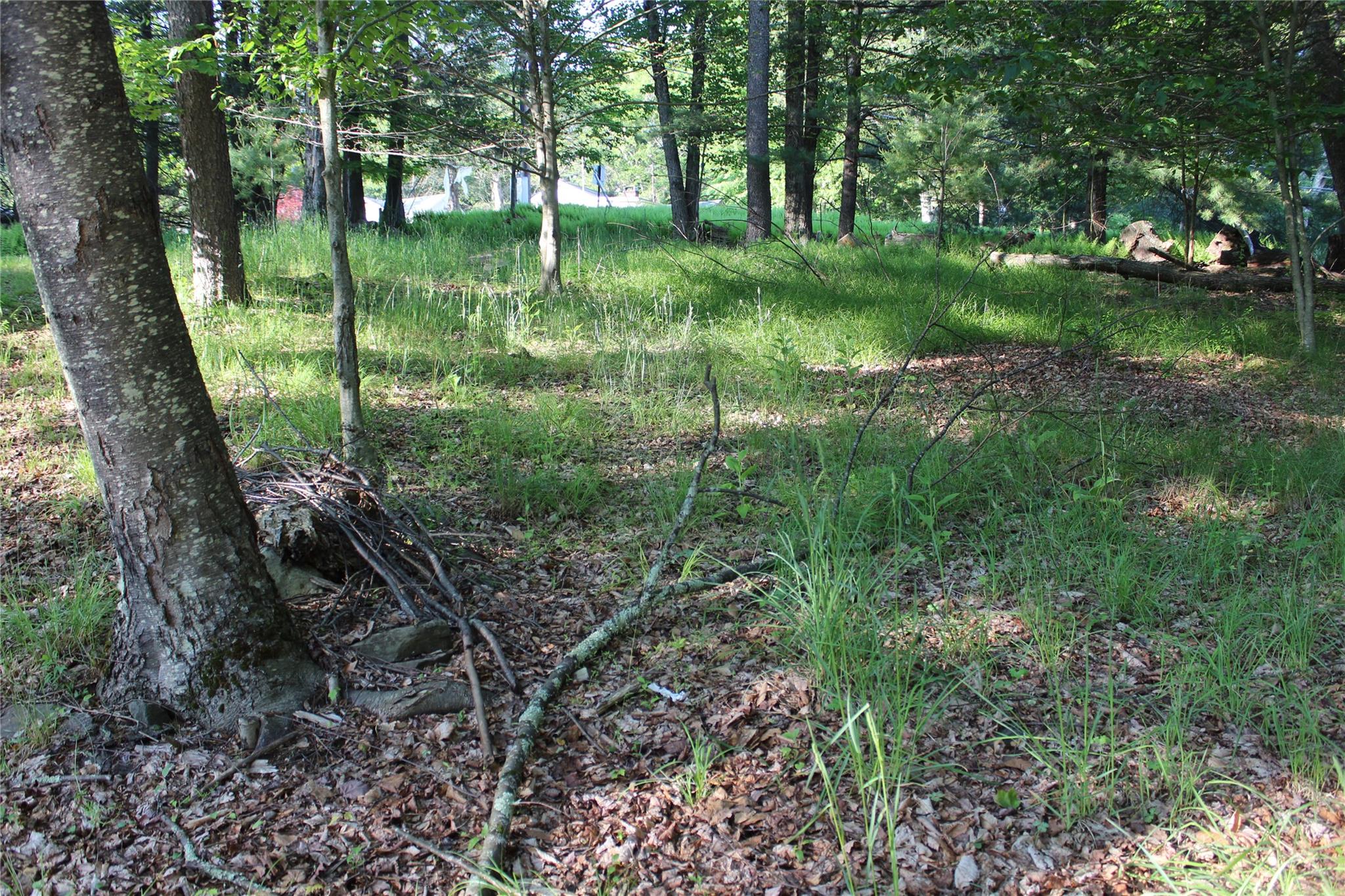 104 Maple Avenue, Smallwood, NY 12762