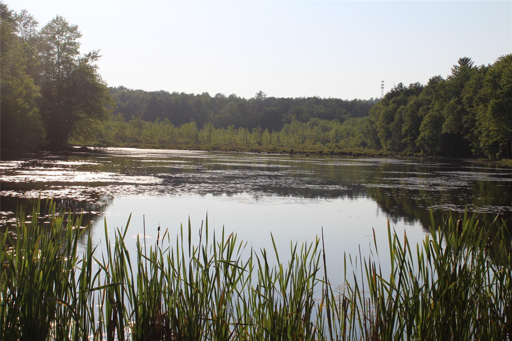 104 Maple Avenue, Smallwood, NY 12762