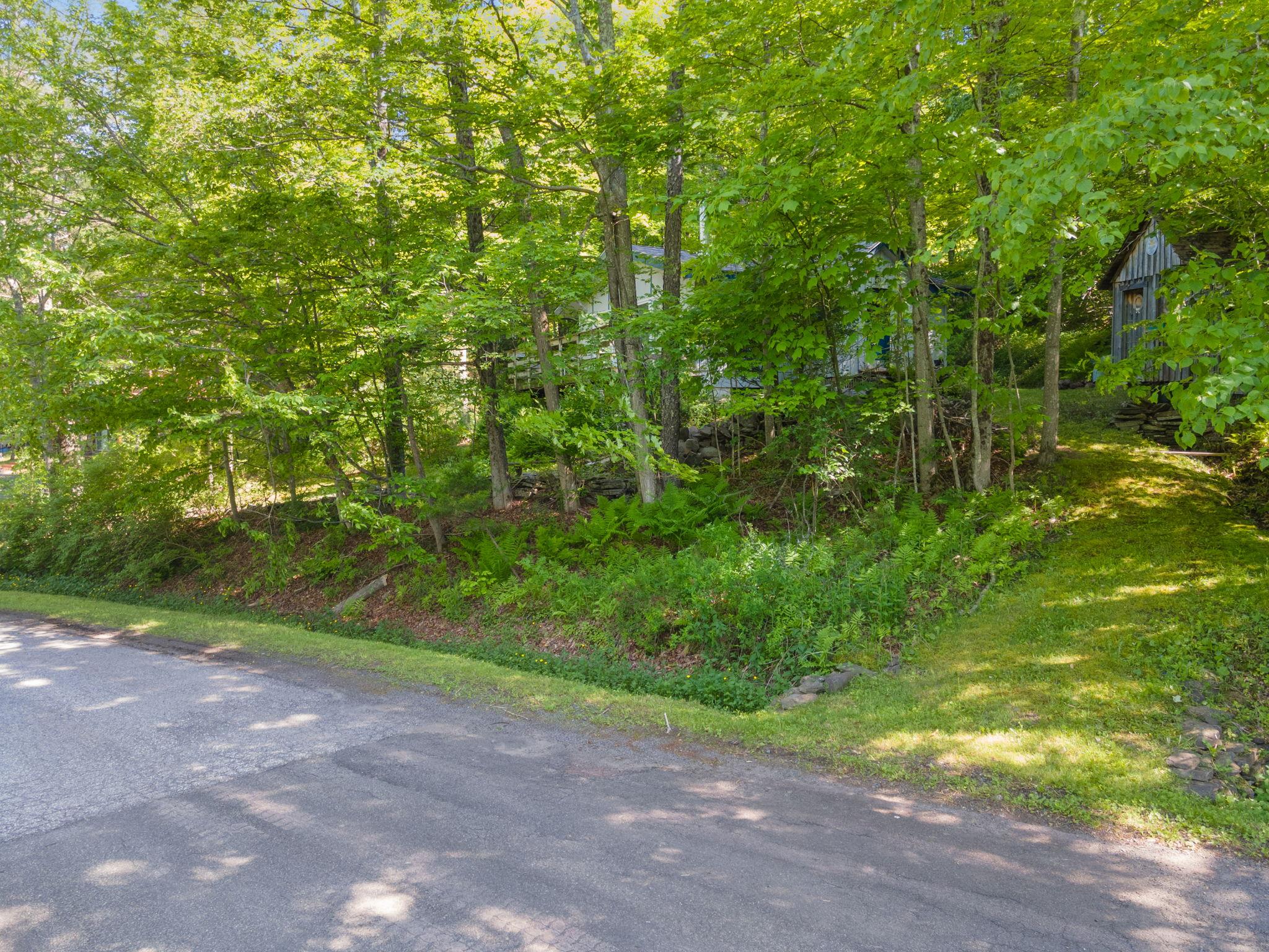 101 Hunter Lane, Hunter, NY 12442