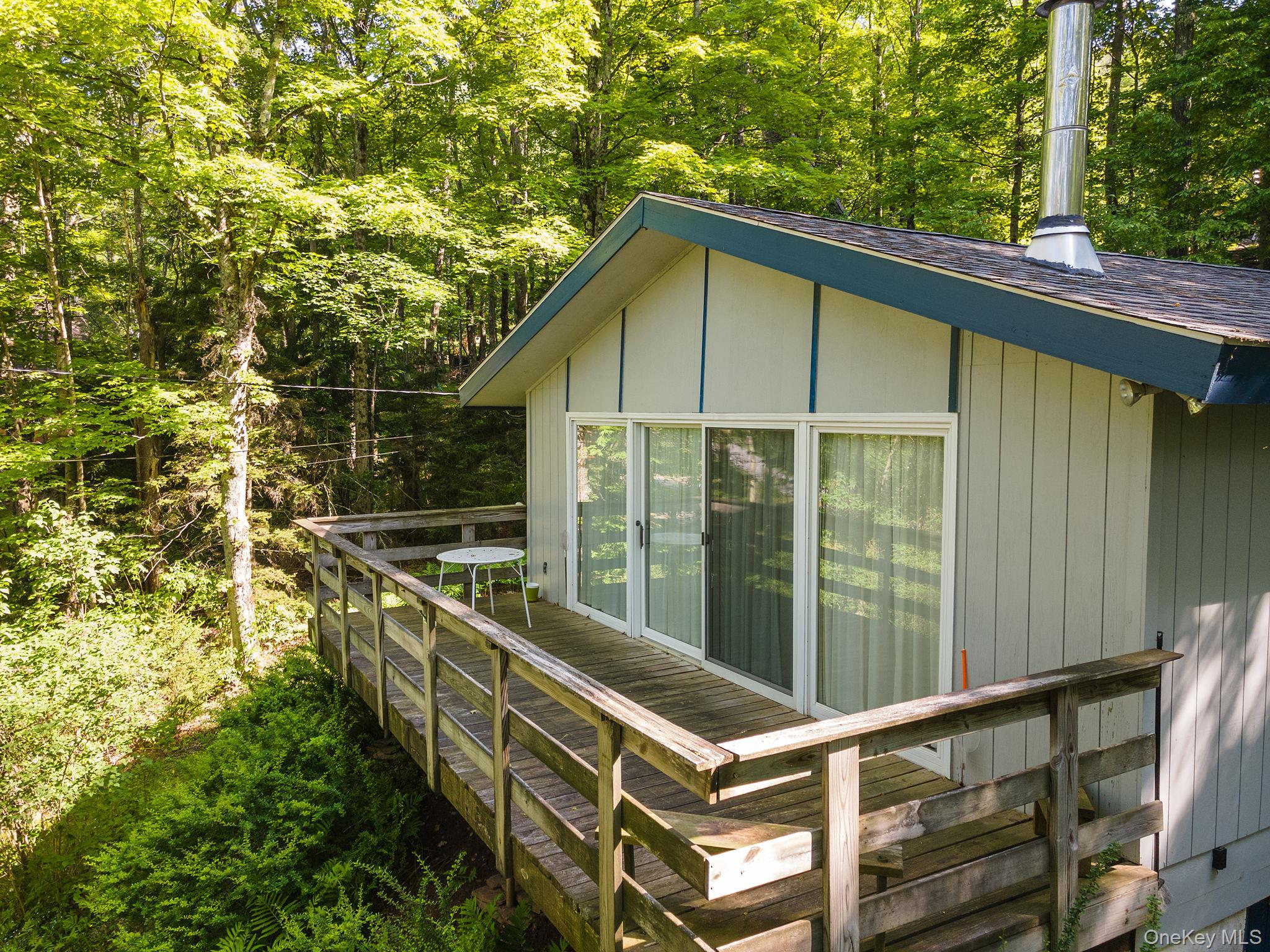 101 Hunter Lane, Hunter, NY 12442