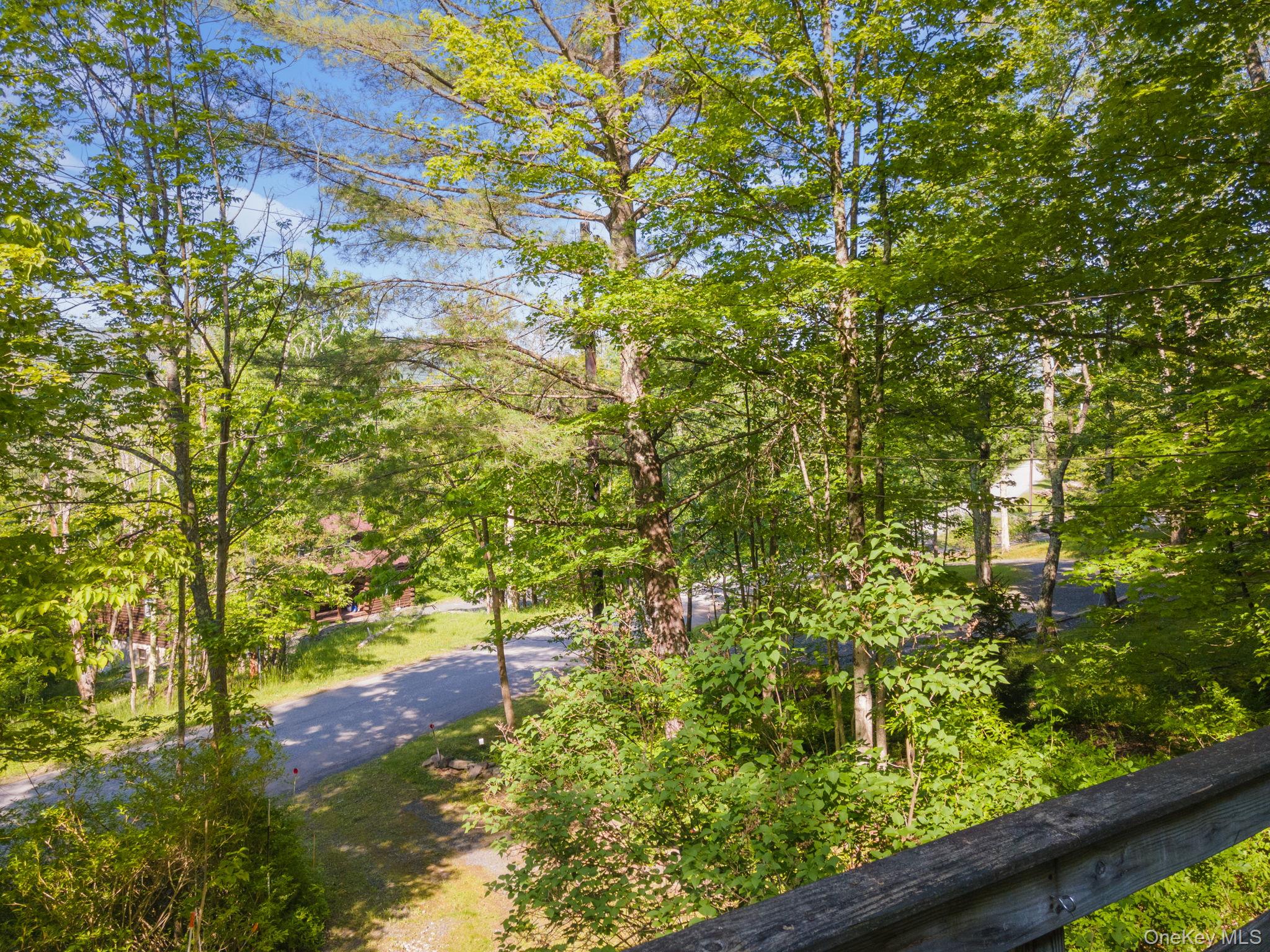 101 Hunter Lane, Hunter, NY 12442