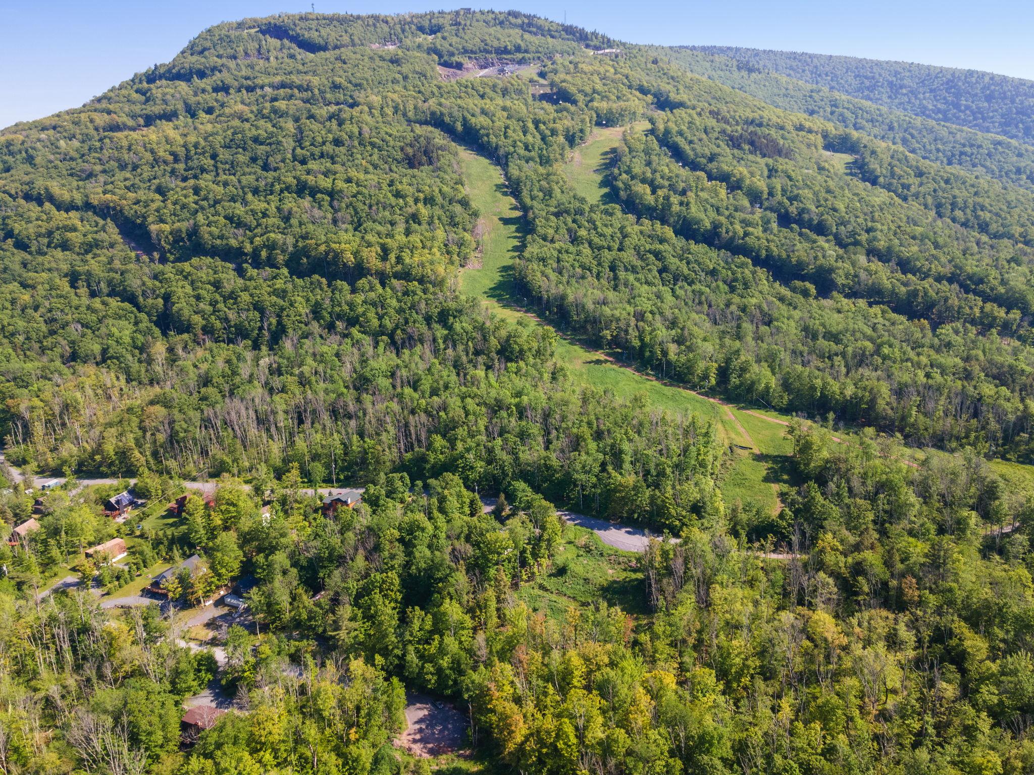 101 Hunter Lane, Hunter, NY 12442