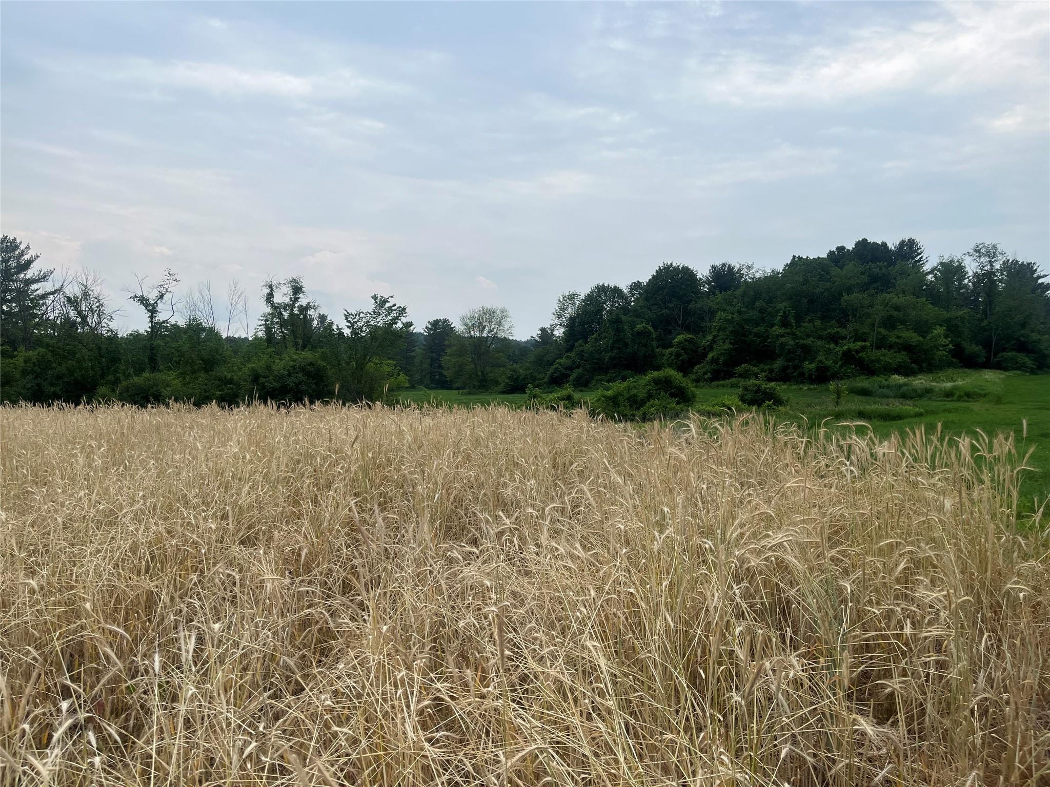 School House Rd Schoolhouse, Kinderhook, NY 12173