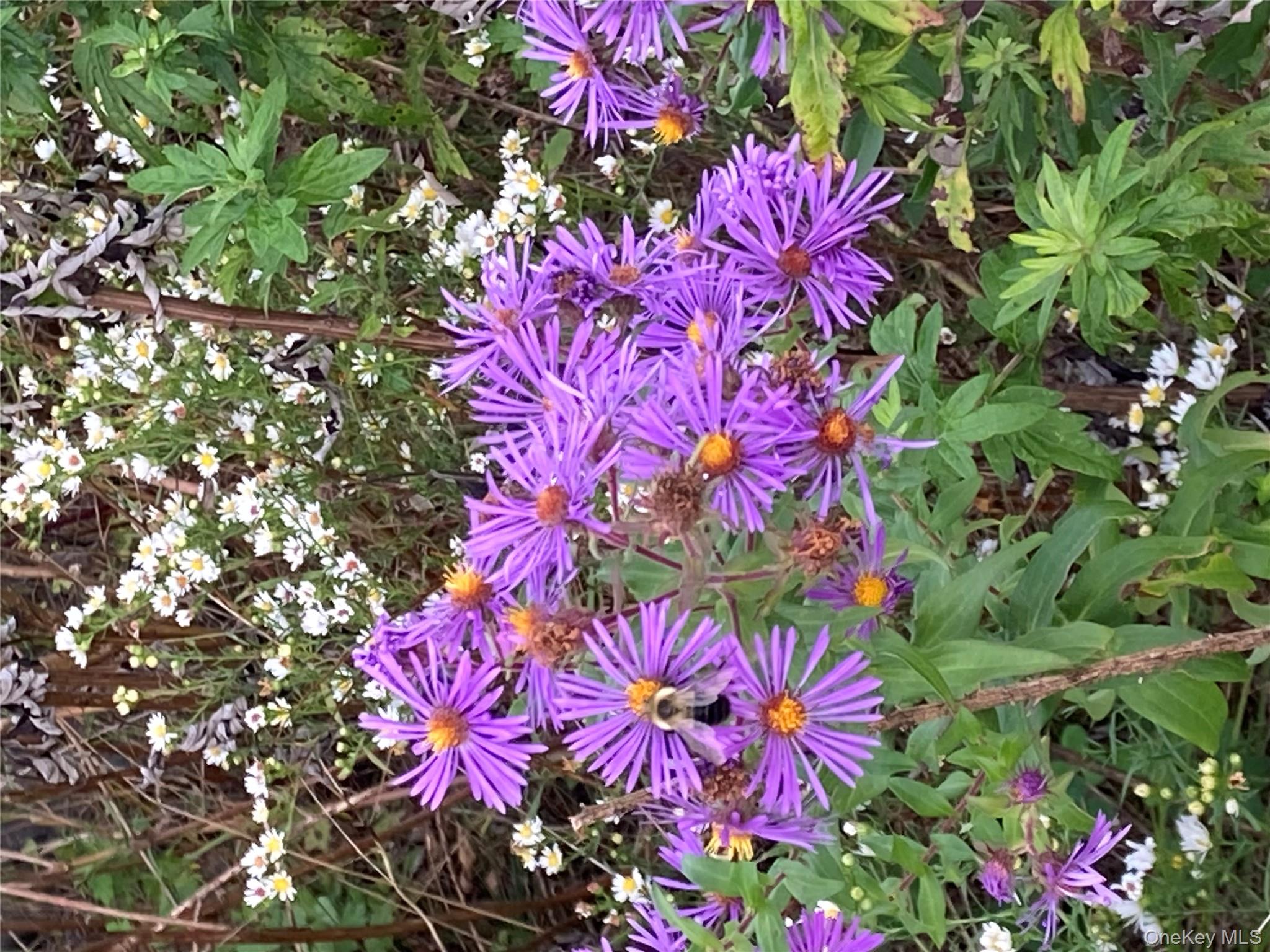 136 John Street, Kingston, NY