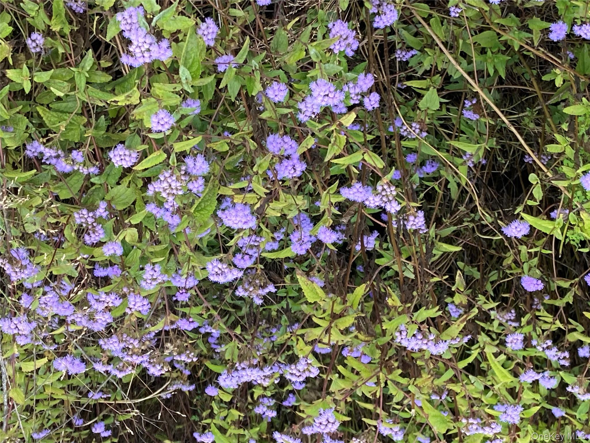 136 John Street, Kingston, NY