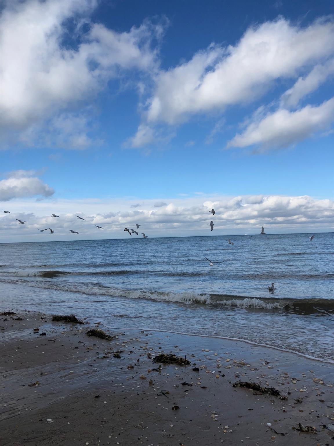 12 Sound View Drive, Rocky Point, NY 11778