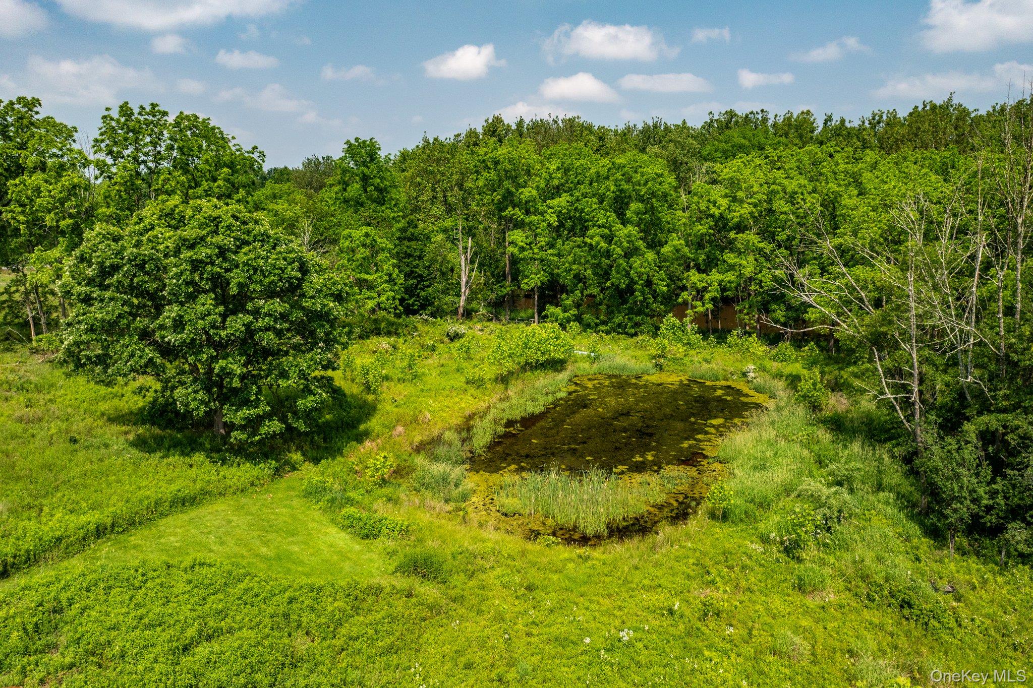 482 Scotchtown Avenue, Middletown, NY 10941