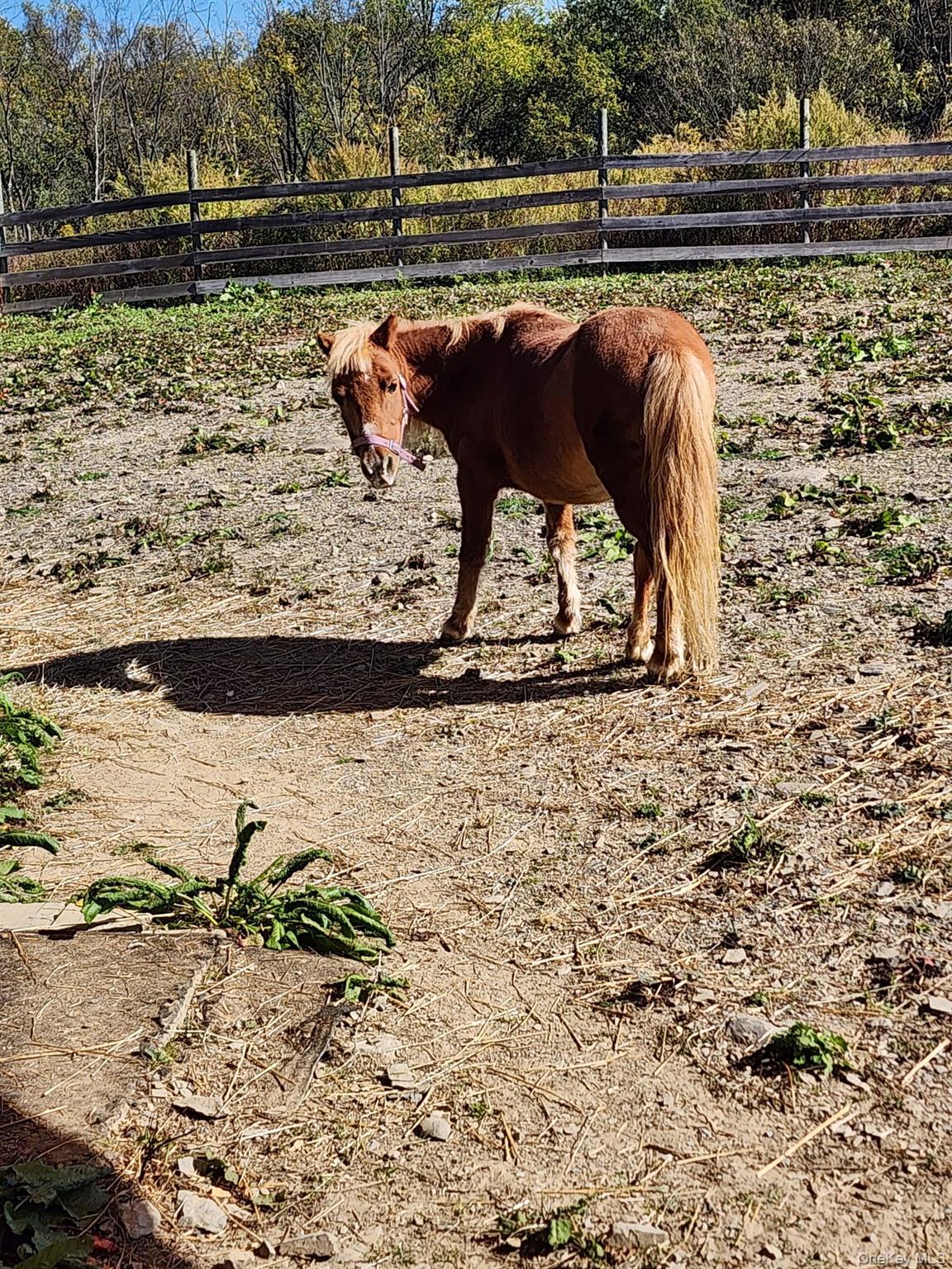 482 Scotchtown Avenue, Middletown, NY 10941