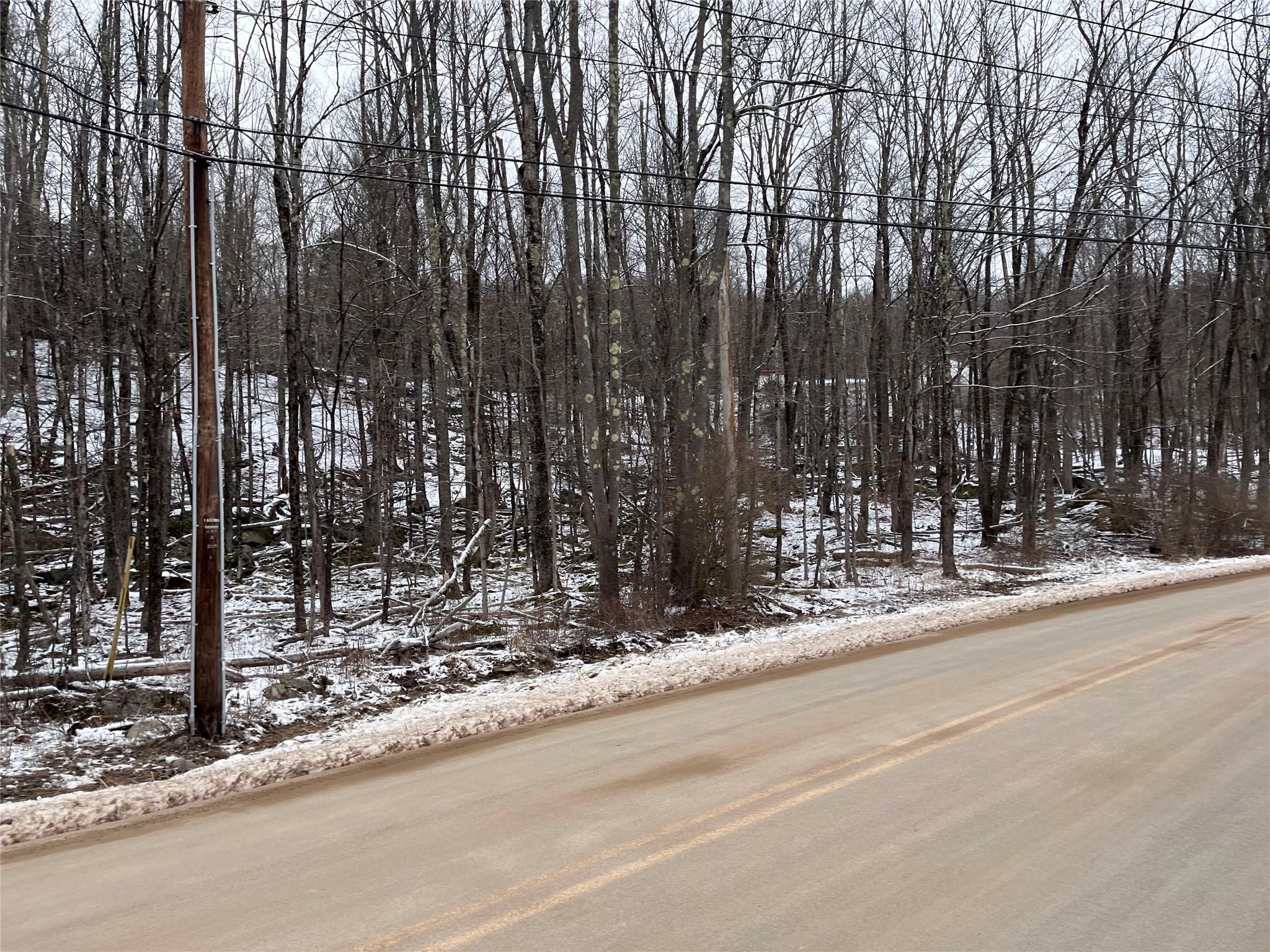 Roosevelt Ave CR53 Tabaczynski Road, Woodridge, NY