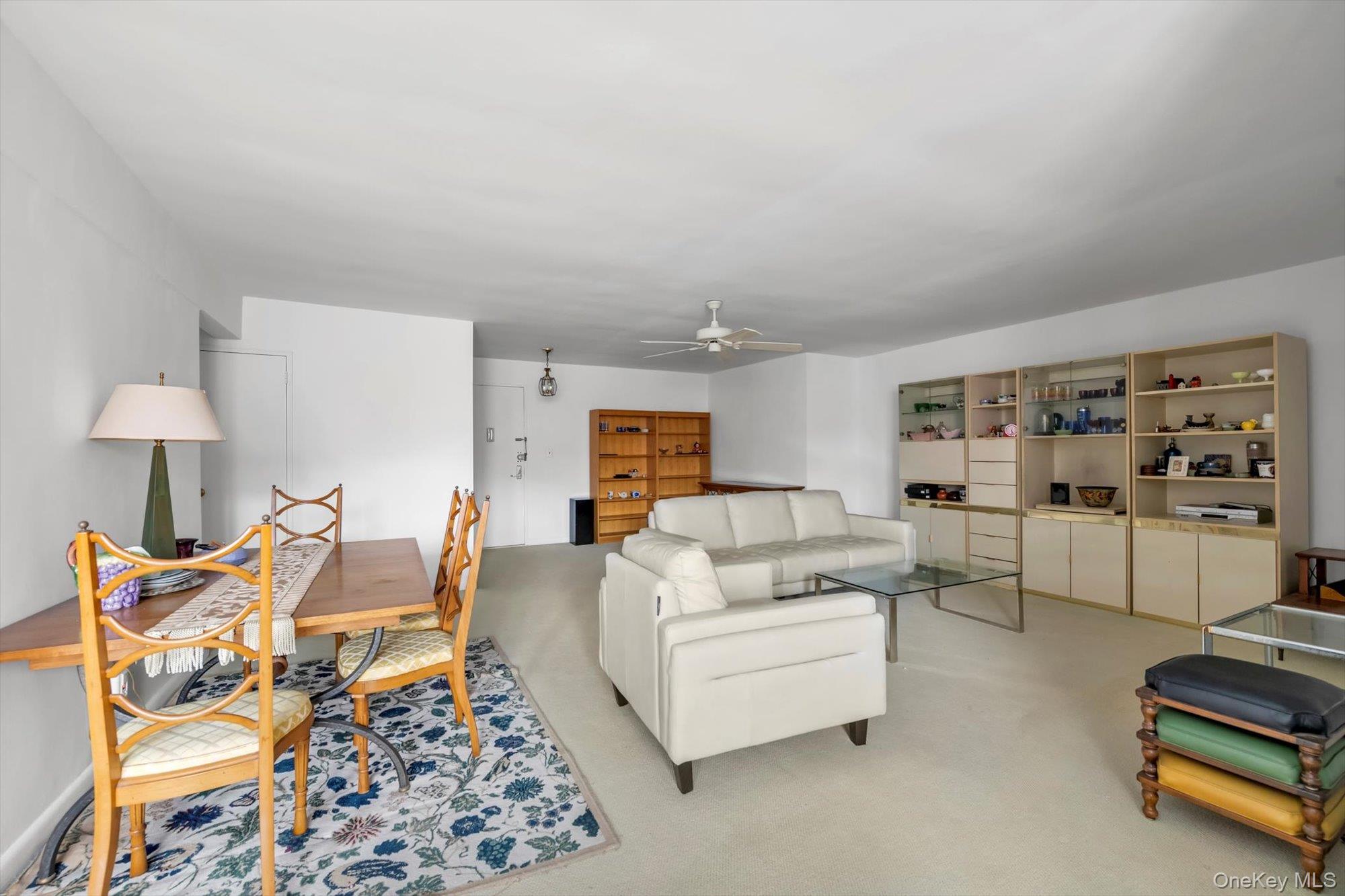 25 Chapel Place # 3N, Great Neck, NY 11021