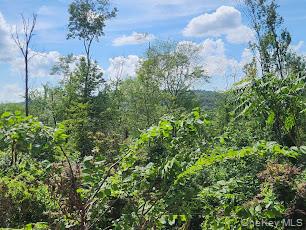 9 Westview Avenue, North Salem, NY 10560