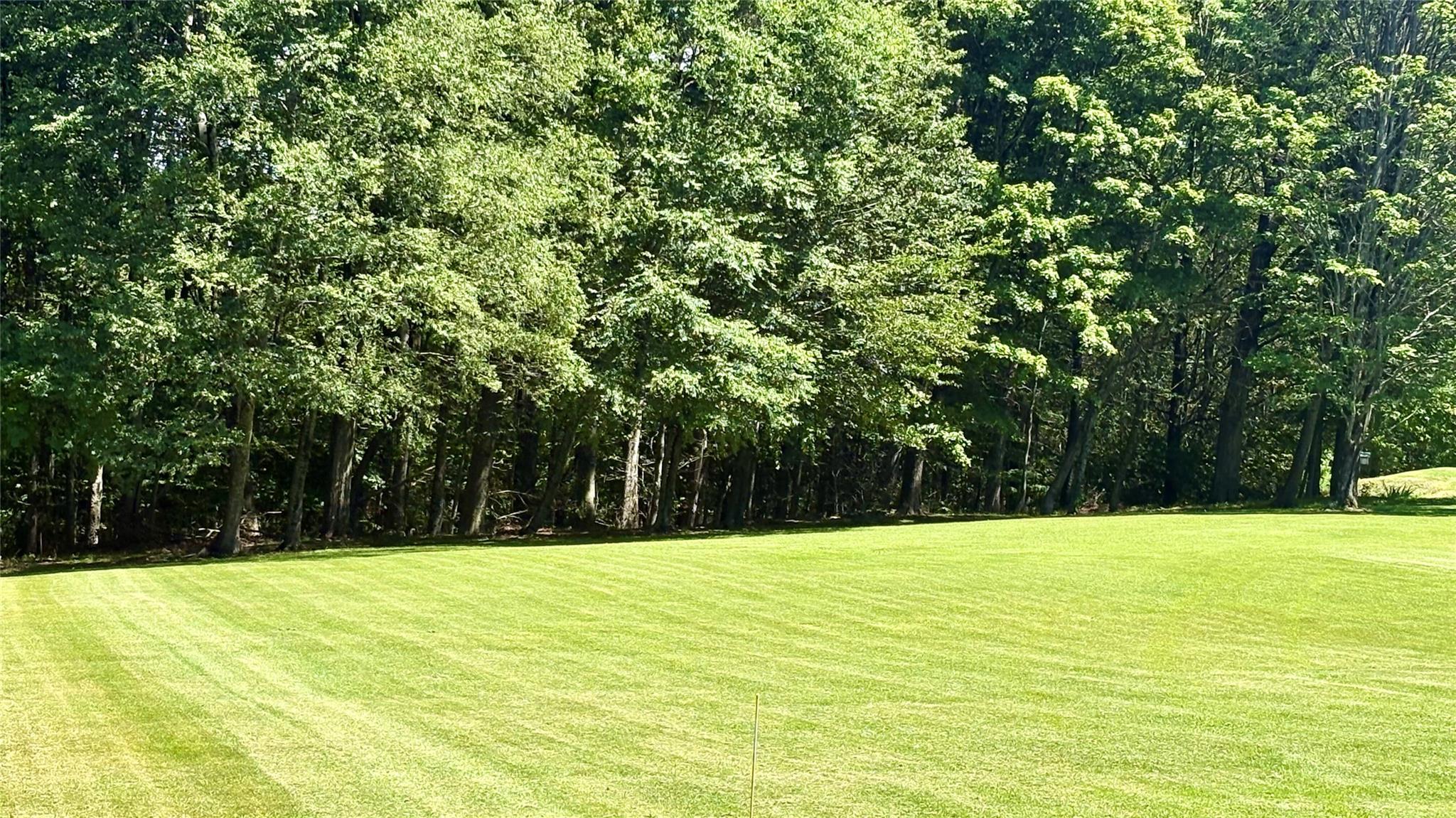 105 White Sulphur Road, Swan Lake, NY 12783