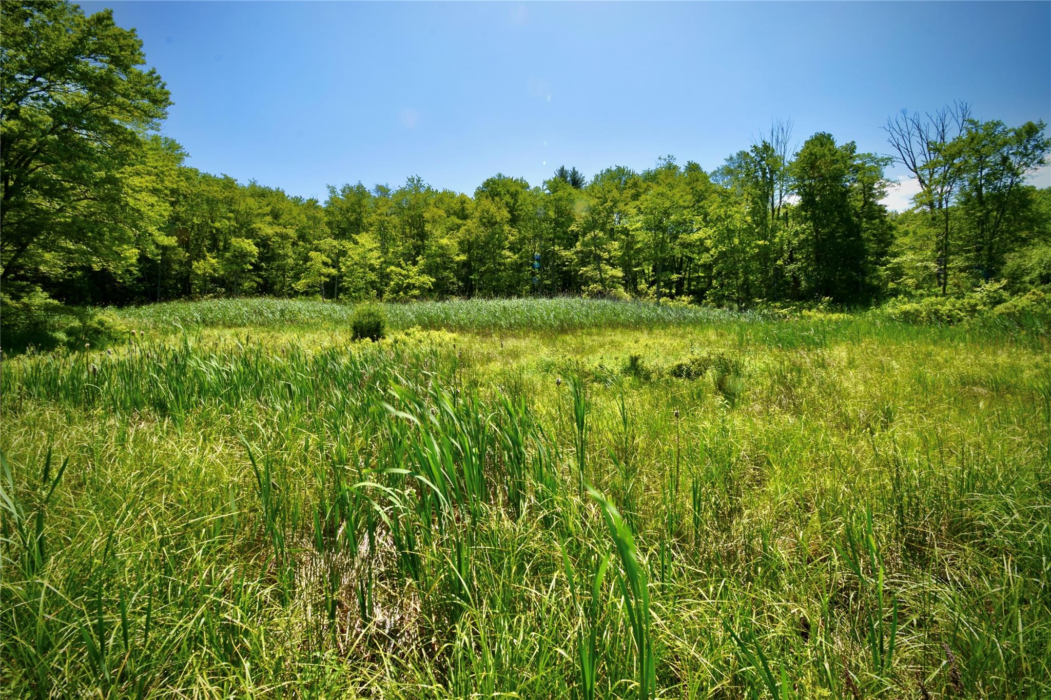 Rt. 52, Ellenville, NY 12489