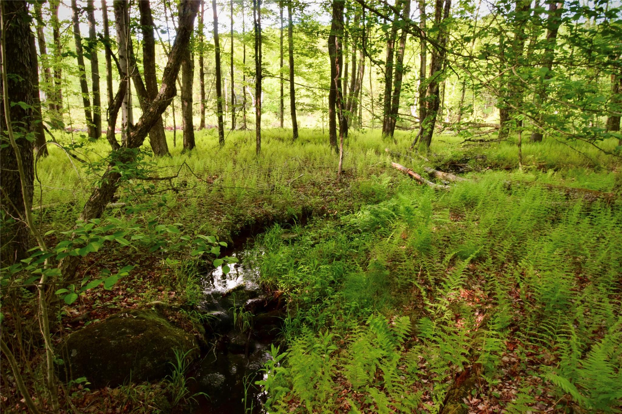 Rt. 52, Ellenville, NY 12489