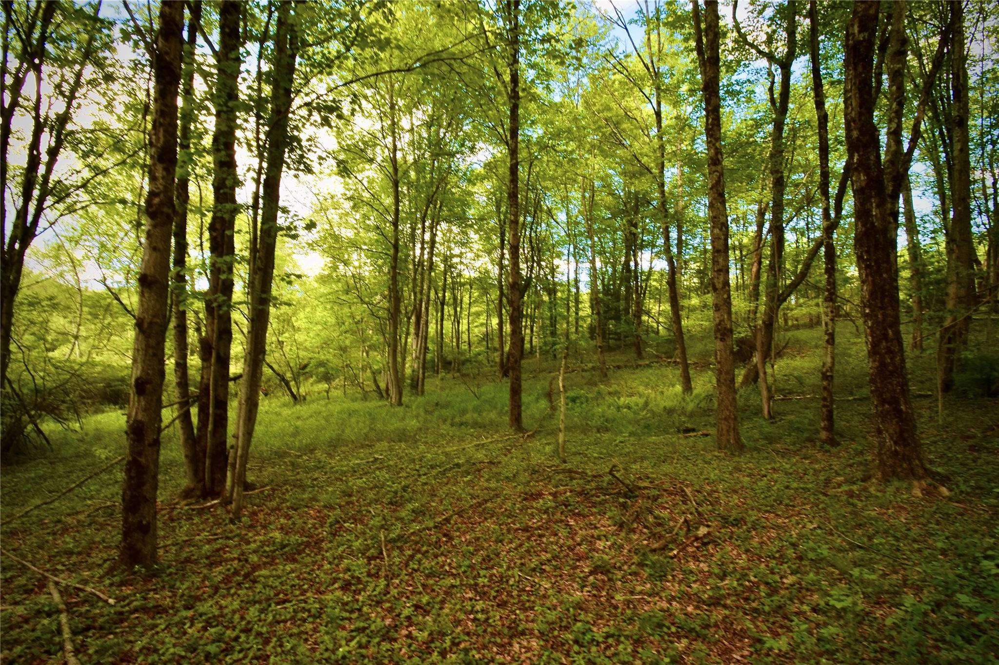 Rt. 52, Ellenville, NY 12489