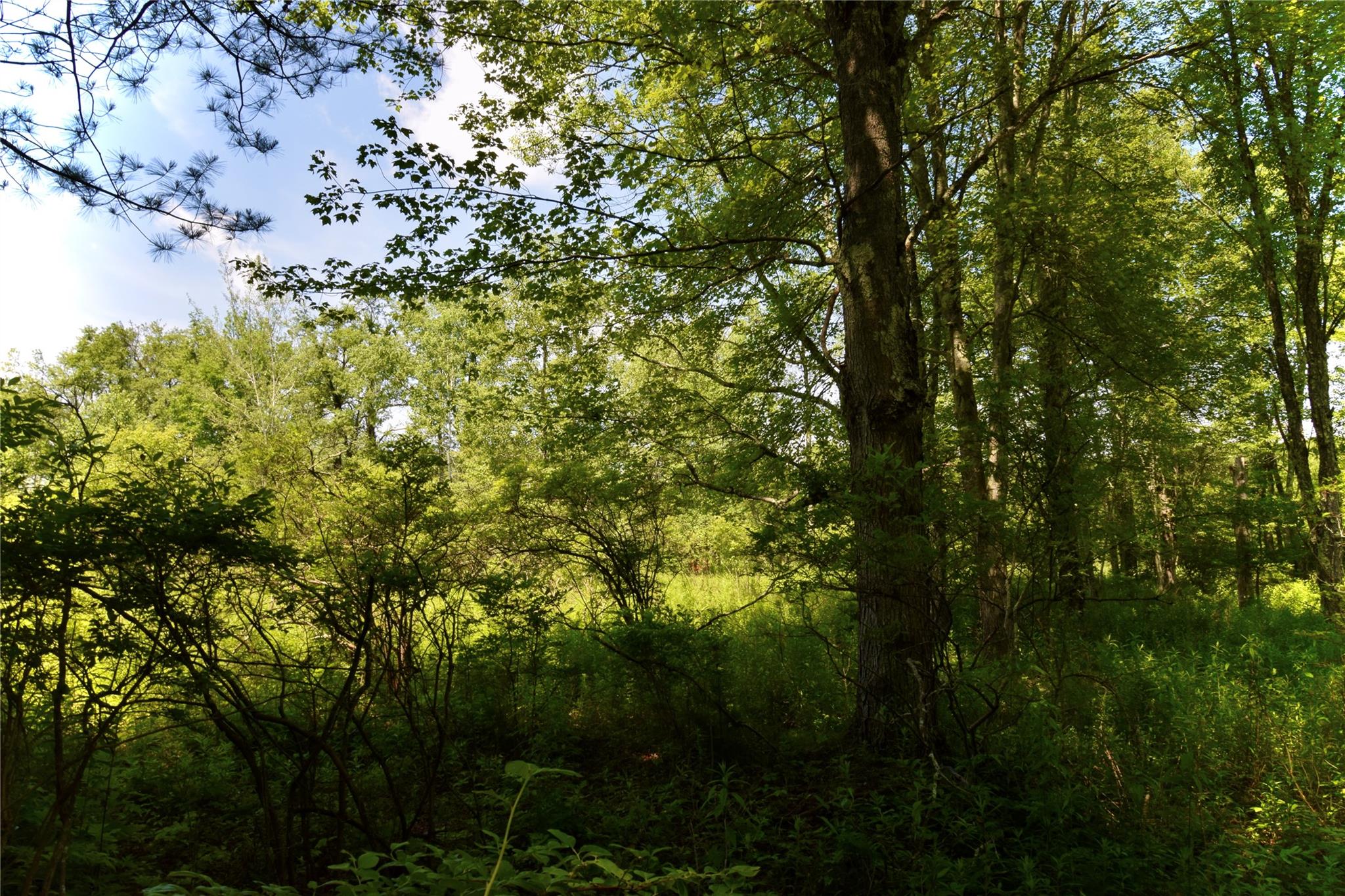 Rt. 52, Ellenville, NY 12489