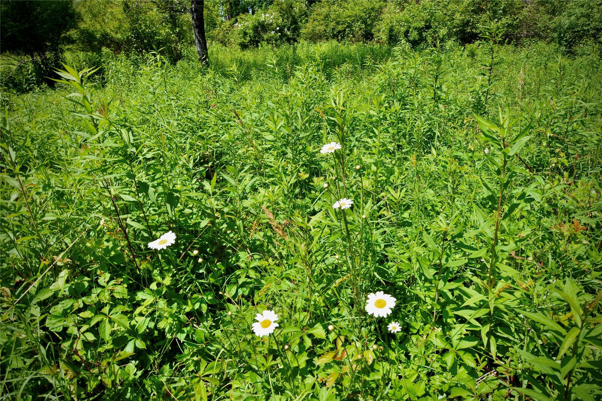 Rt. 52, Ellenville, NY 12489