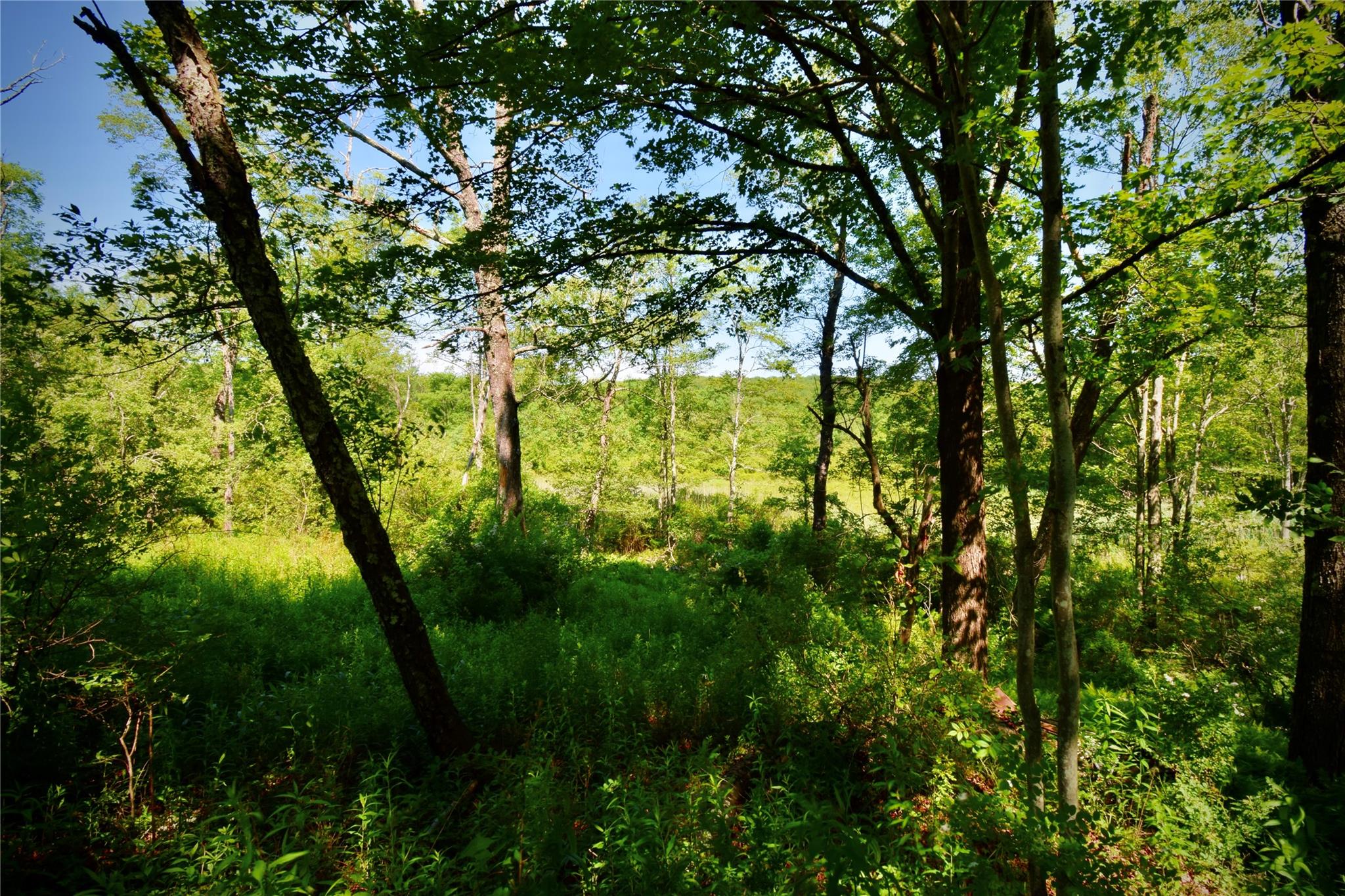 Rt. 52, Ellenville, NY 12489