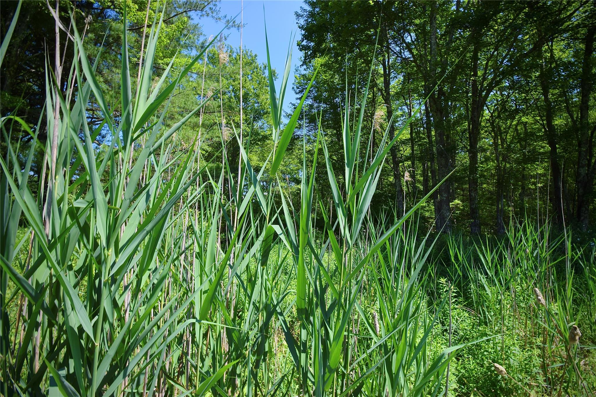 Rt. 52, Ellenville, NY 12489