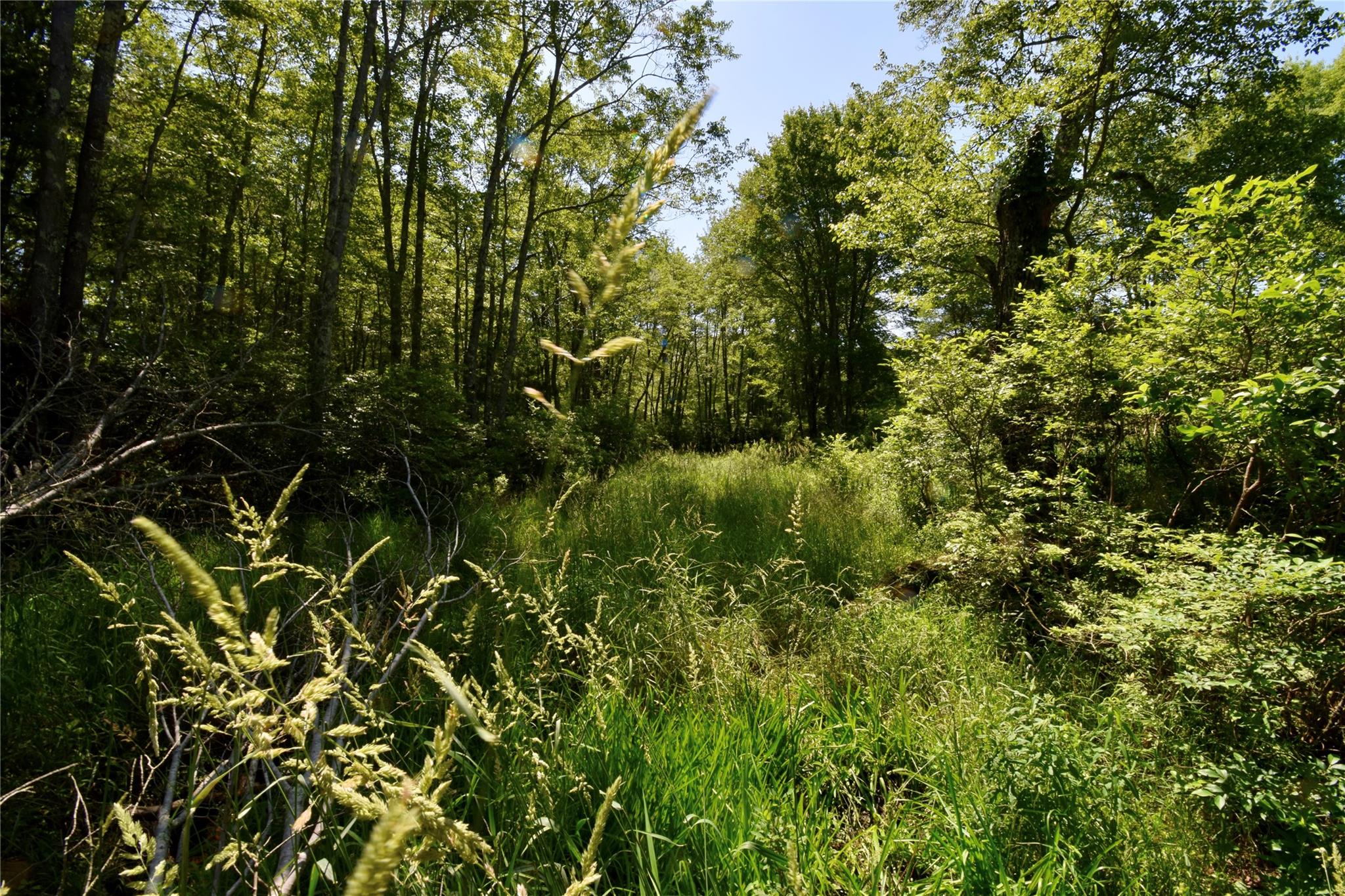 Rt. 52, Ellenville, NY 12489