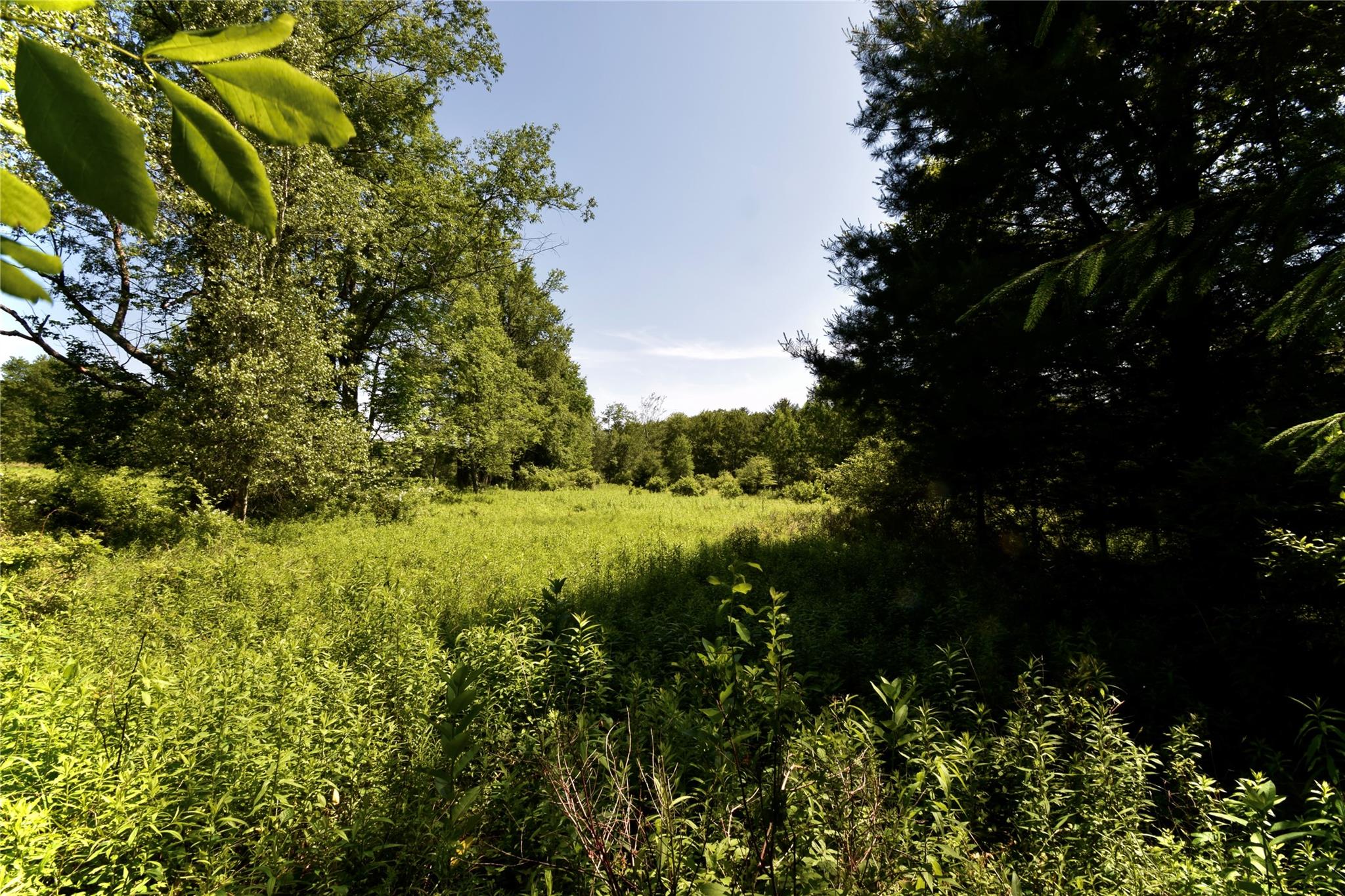 Rt. 52, Ellenville, NY 12489