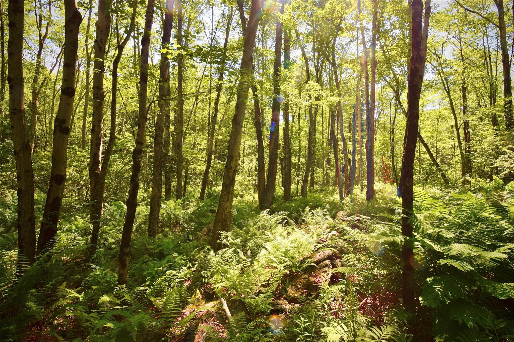 Rt. 52, Ellenville, NY 12489