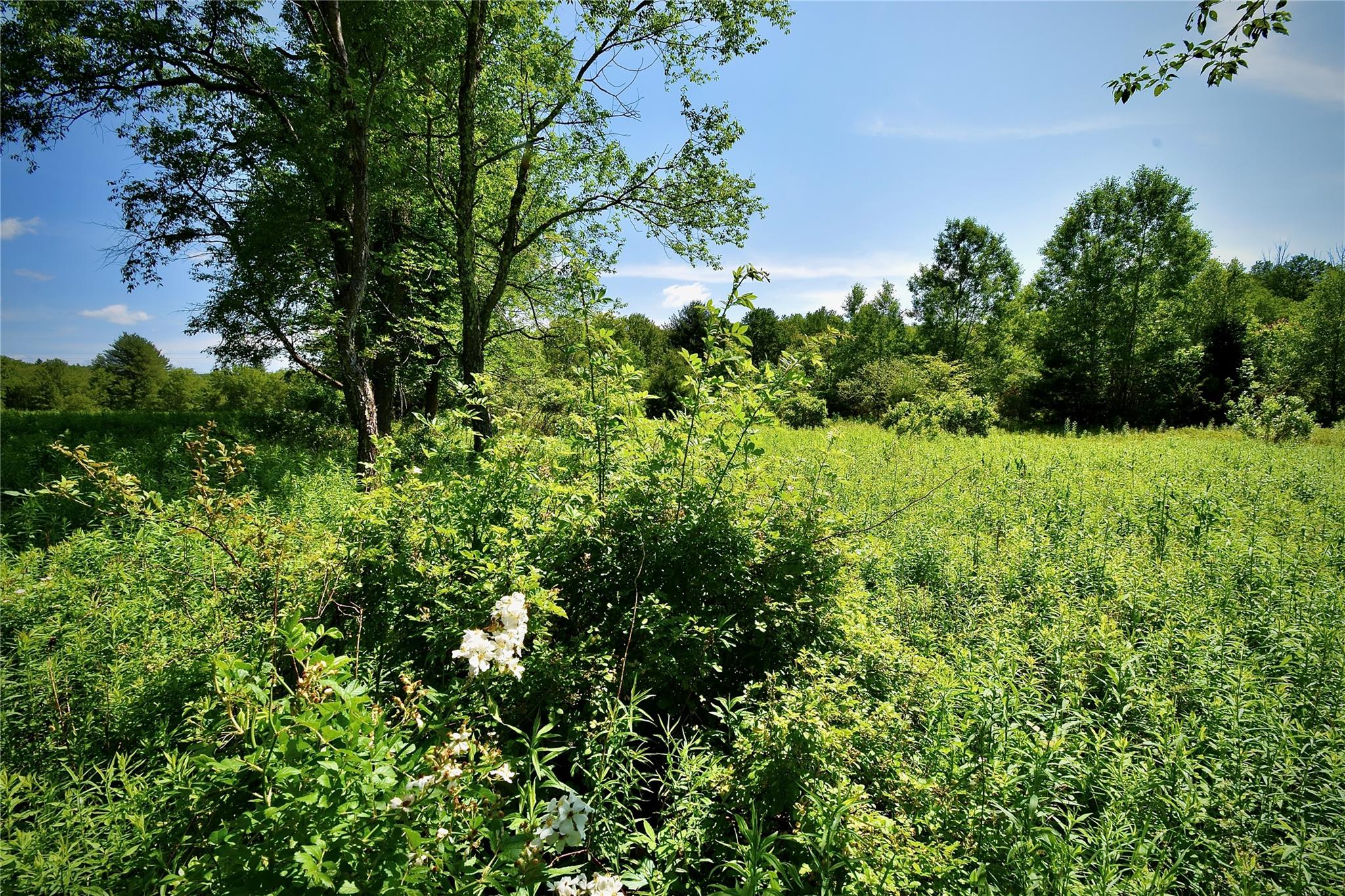 Rt. 52, Ellenville, NY 12489