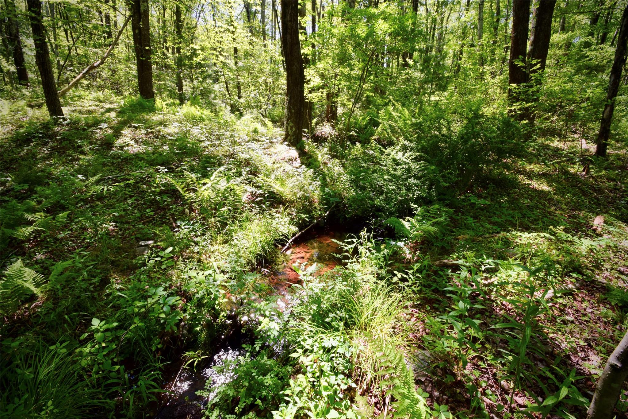 Rt. 52, Ellenville, NY 12489