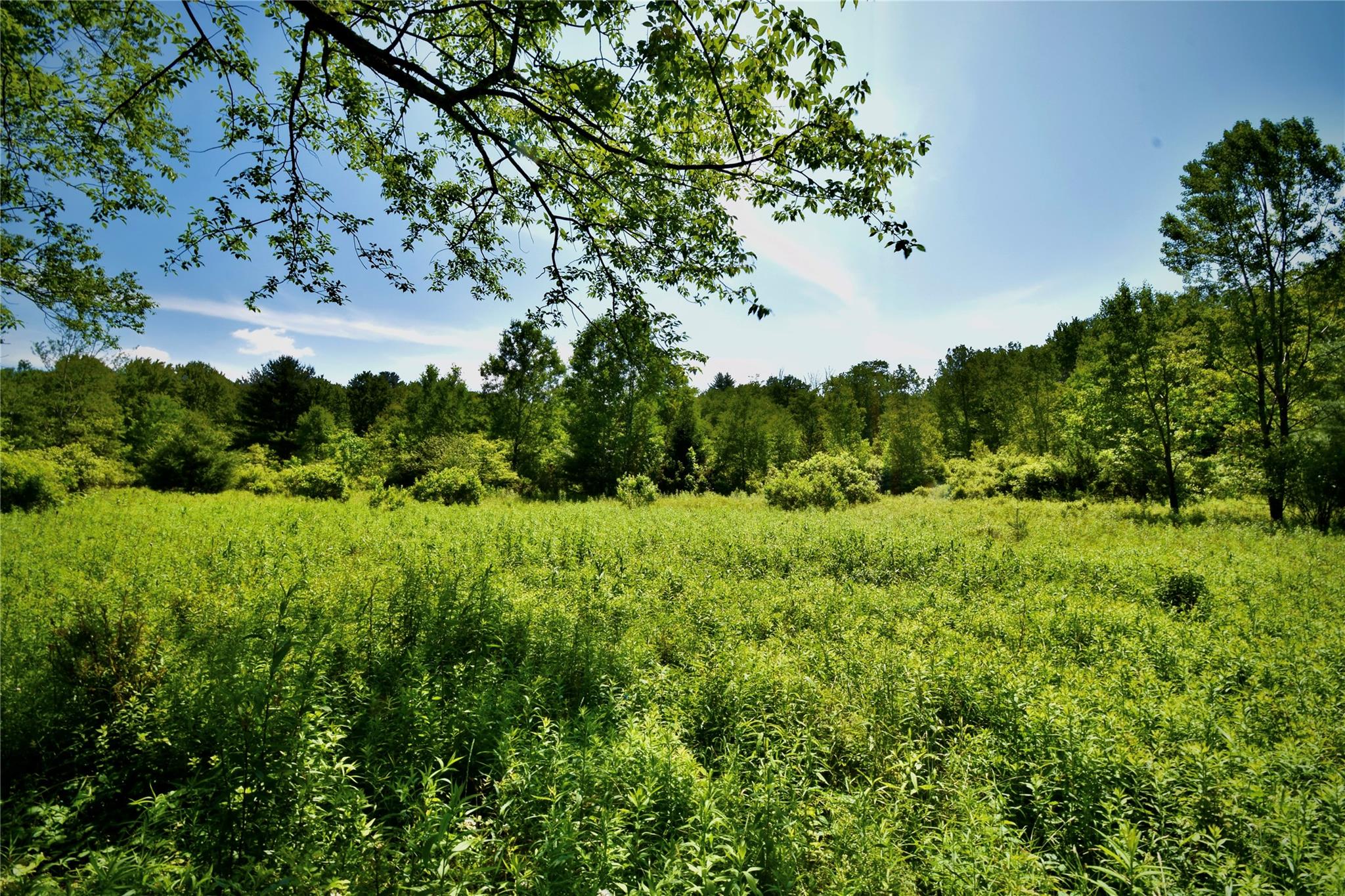 Rt. 52, Ellenville, NY 12489