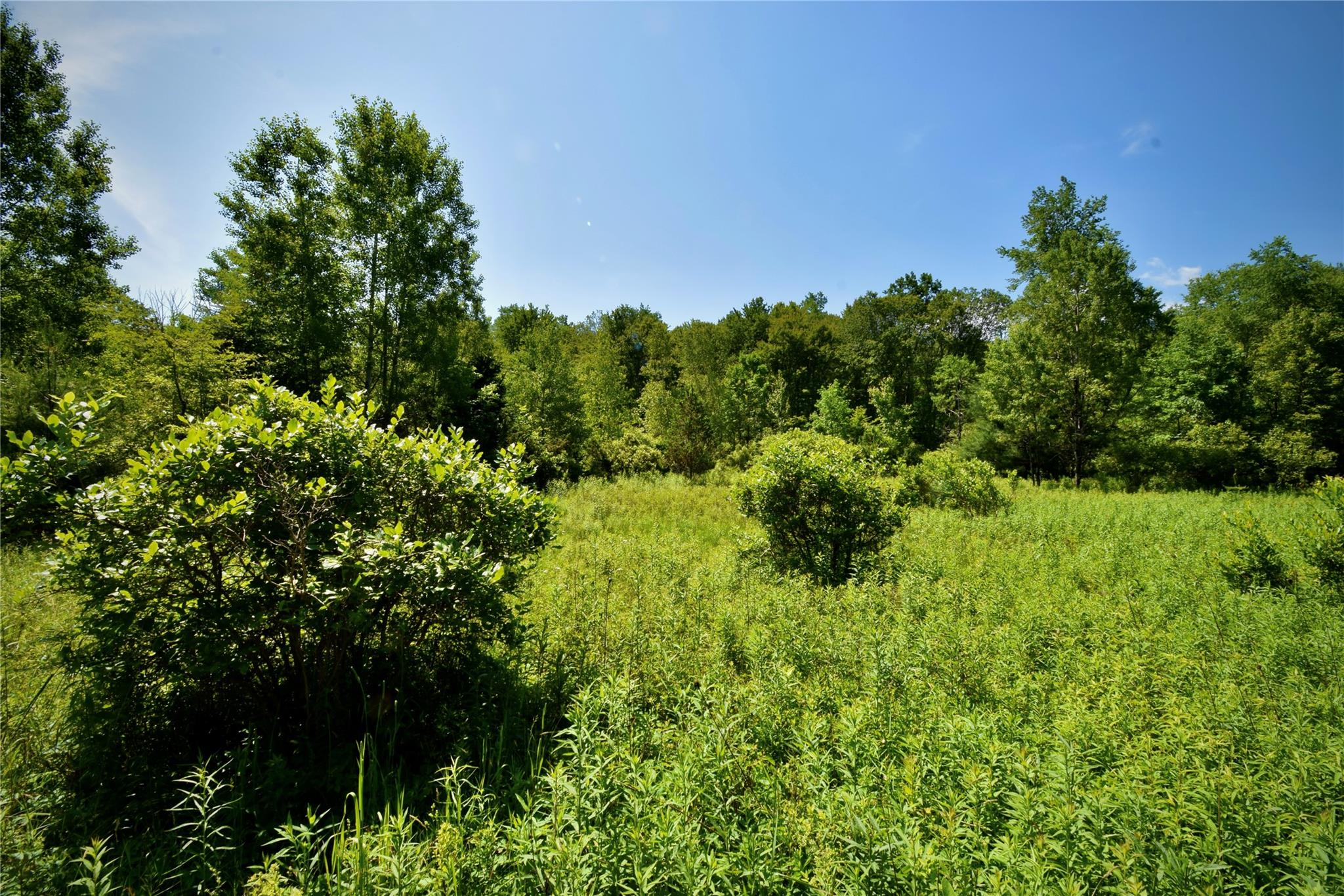 Rt. 52, Ellenville, NY 12489