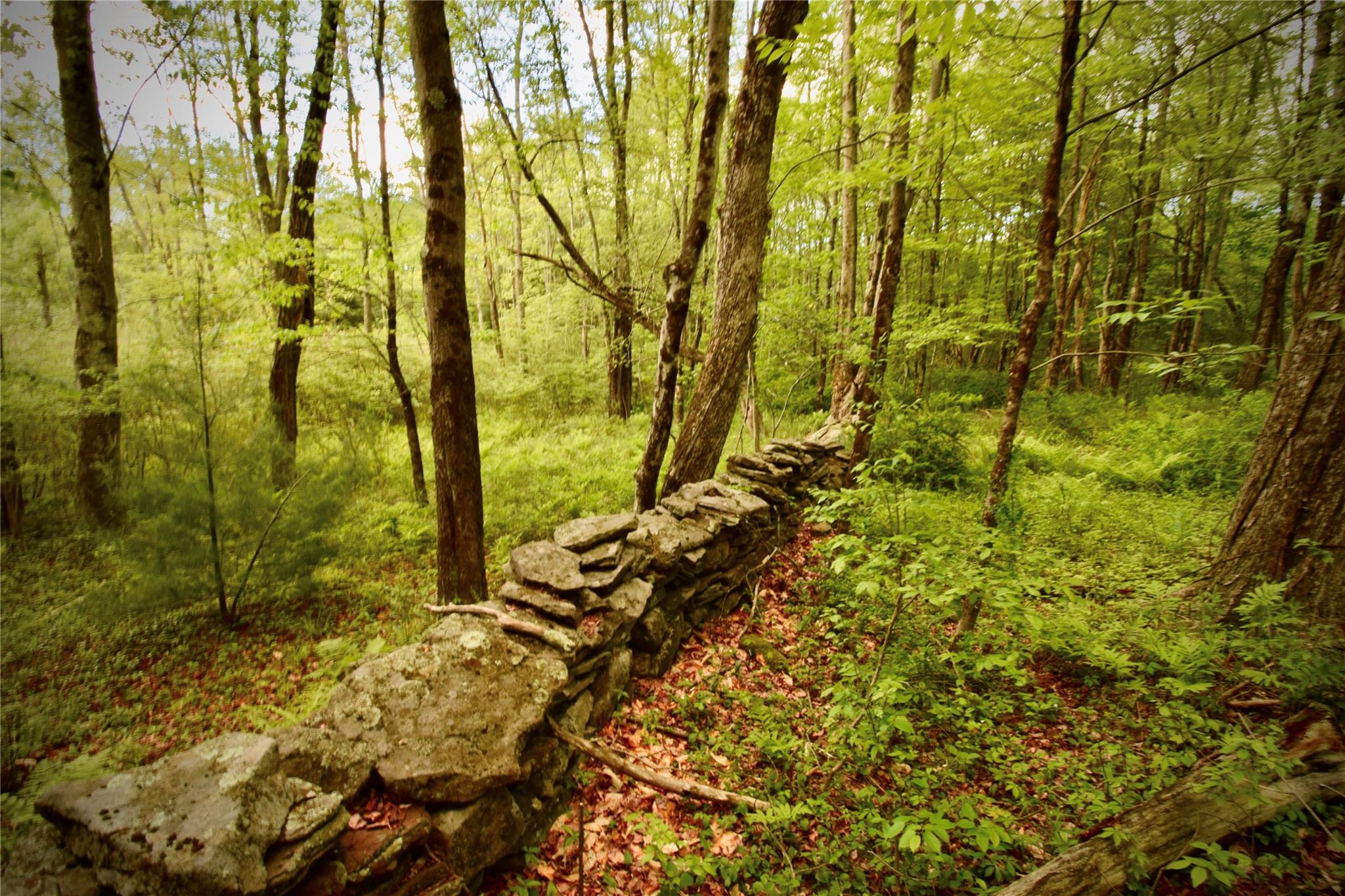 Rt. 52, Ellenville, NY 12489