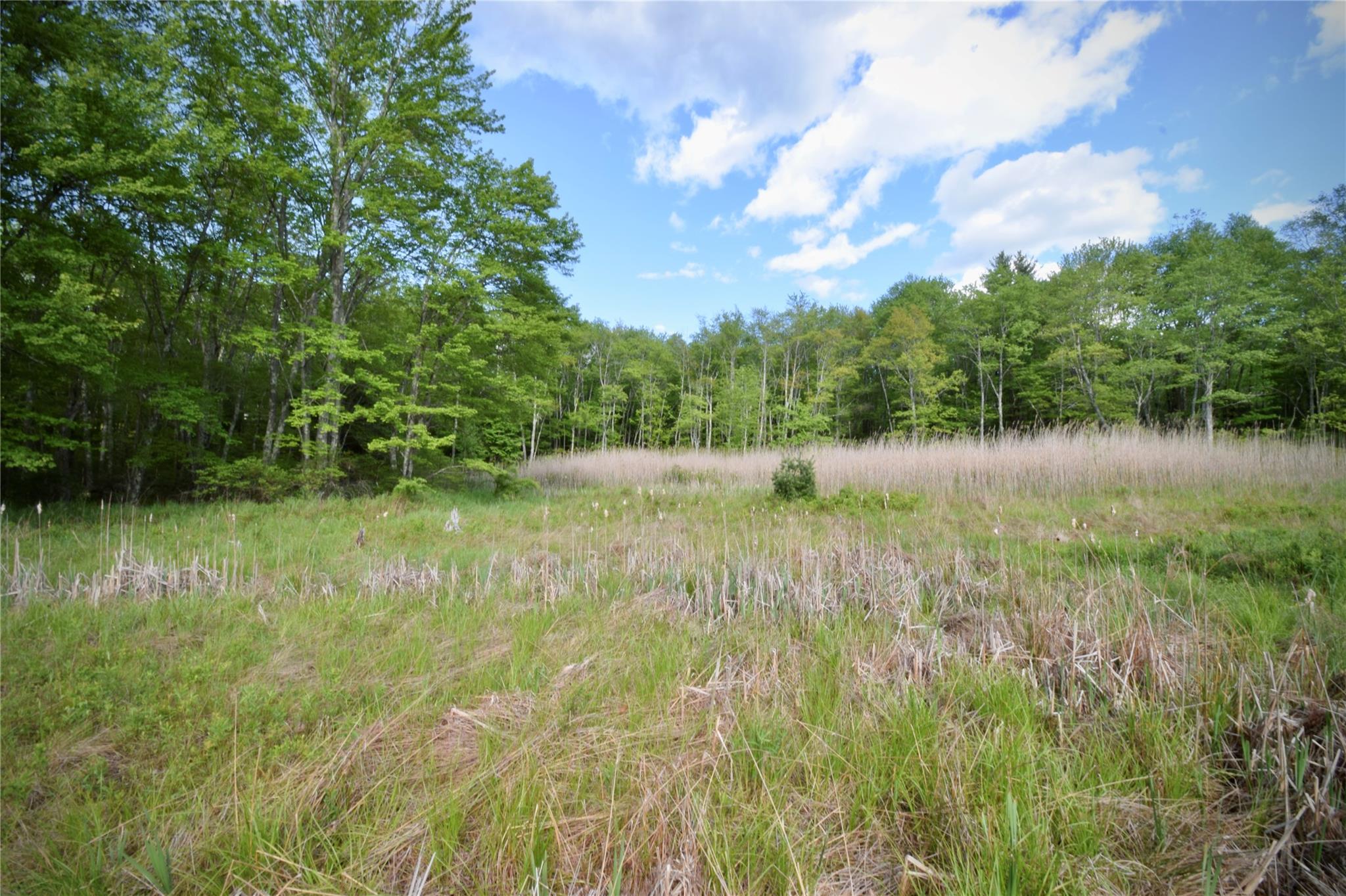 Rt. 52, Ellenville, NY 12489