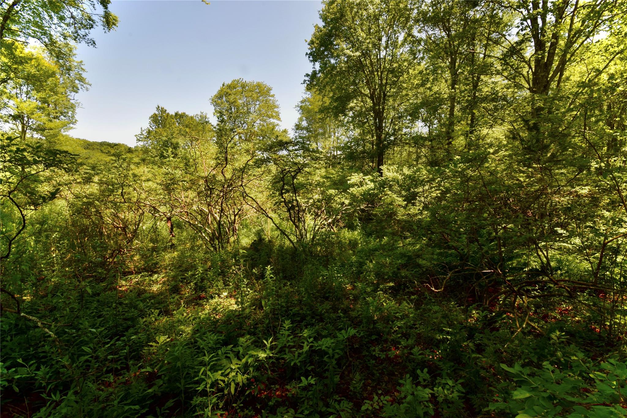 Rt. 52, Ellenville, NY 12489