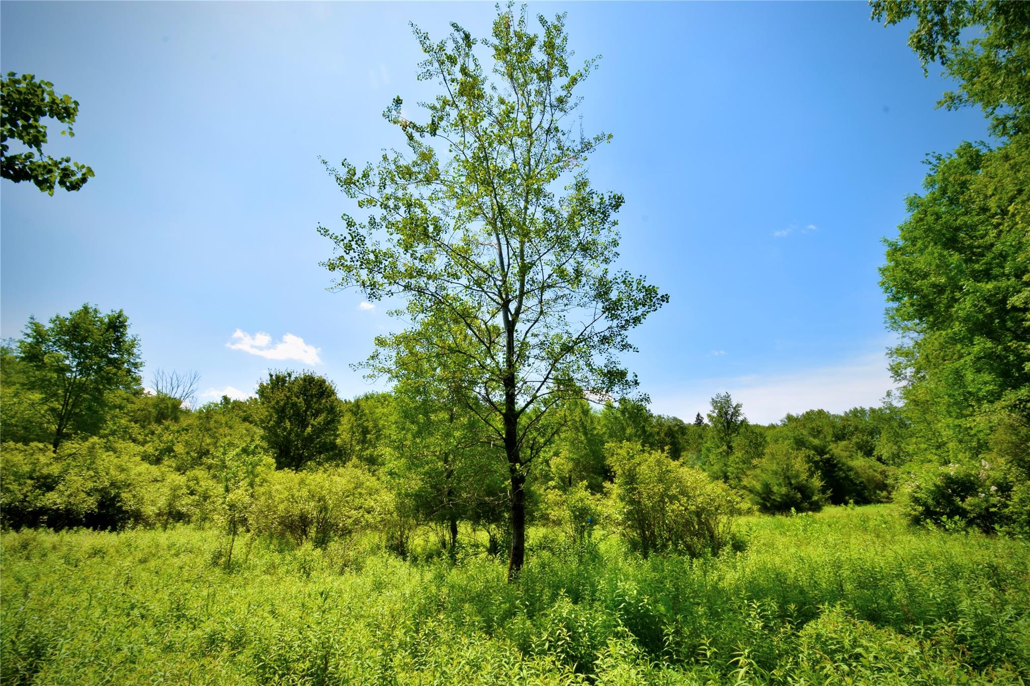 Rt. 52, Ellenville, NY 12489