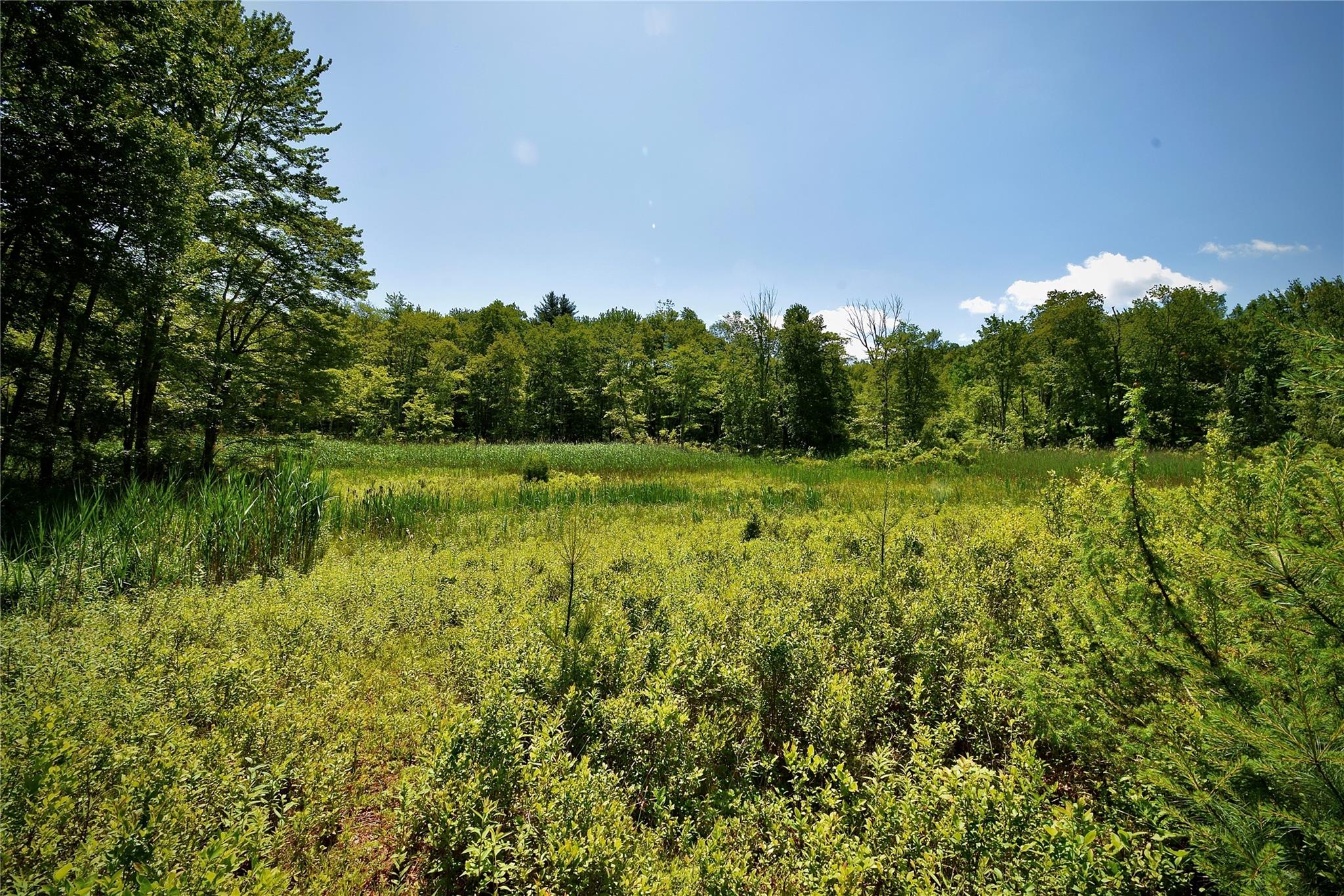 Rt. 52, Ellenville, NY 12489