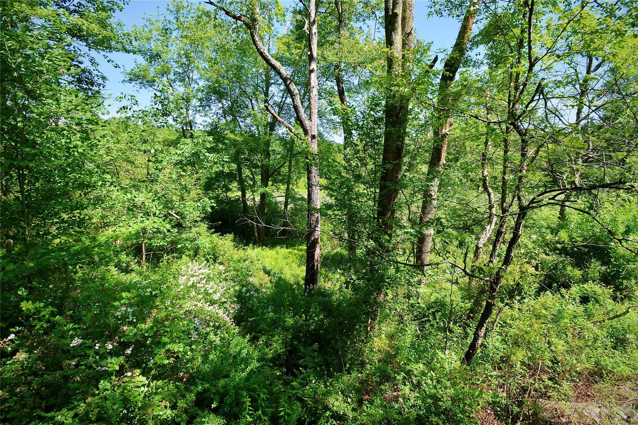 Rt. 52, Ellenville, NY 12489