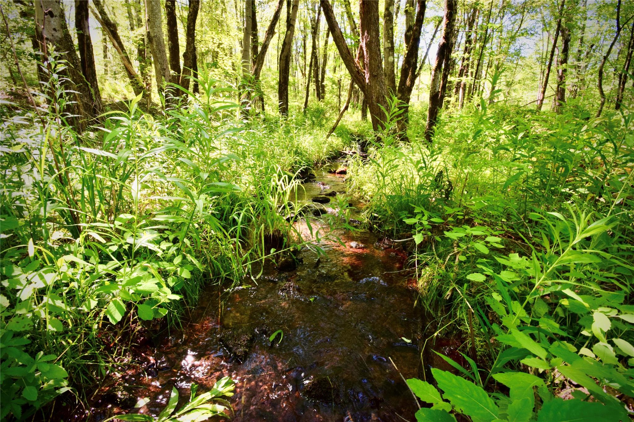 Rt. 52, Ellenville, NY 12489